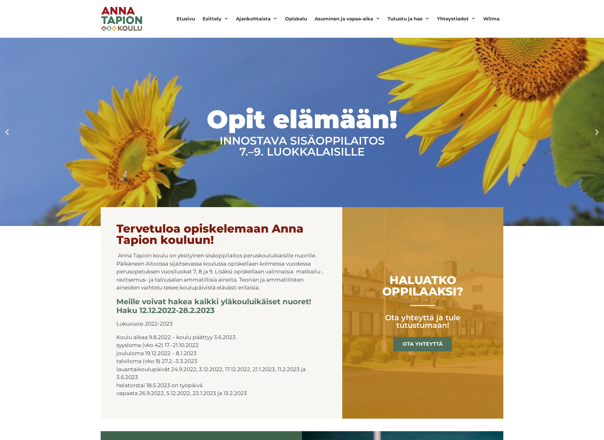 Screenshot for annatapio.fi