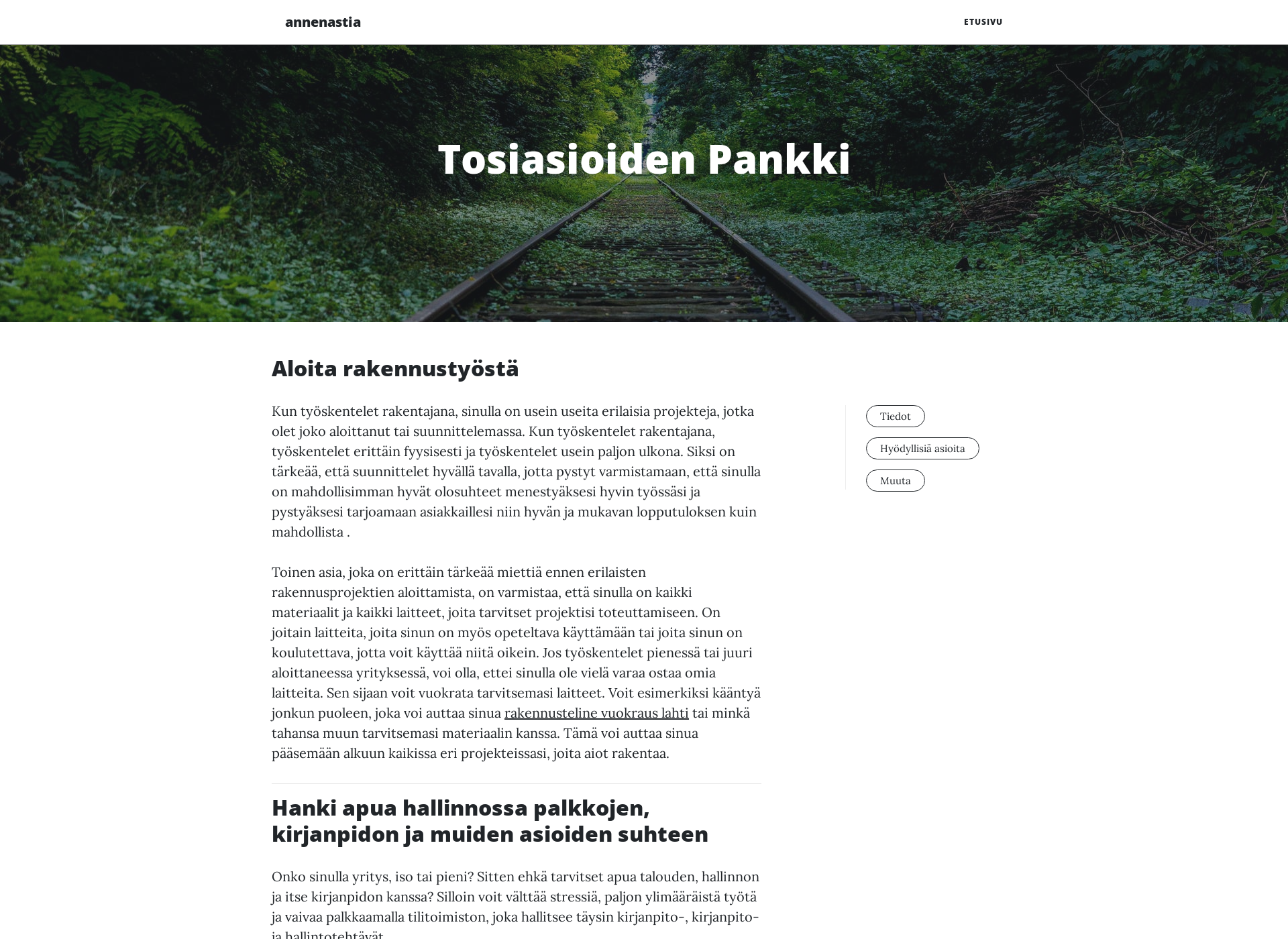 Screenshot for annenastiakauppa.fi