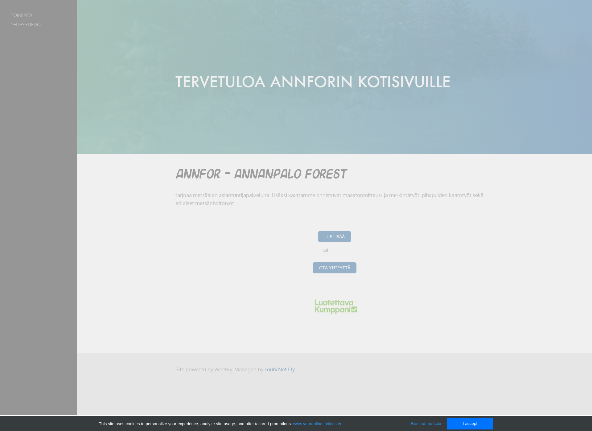 Screenshot for annfor.fi