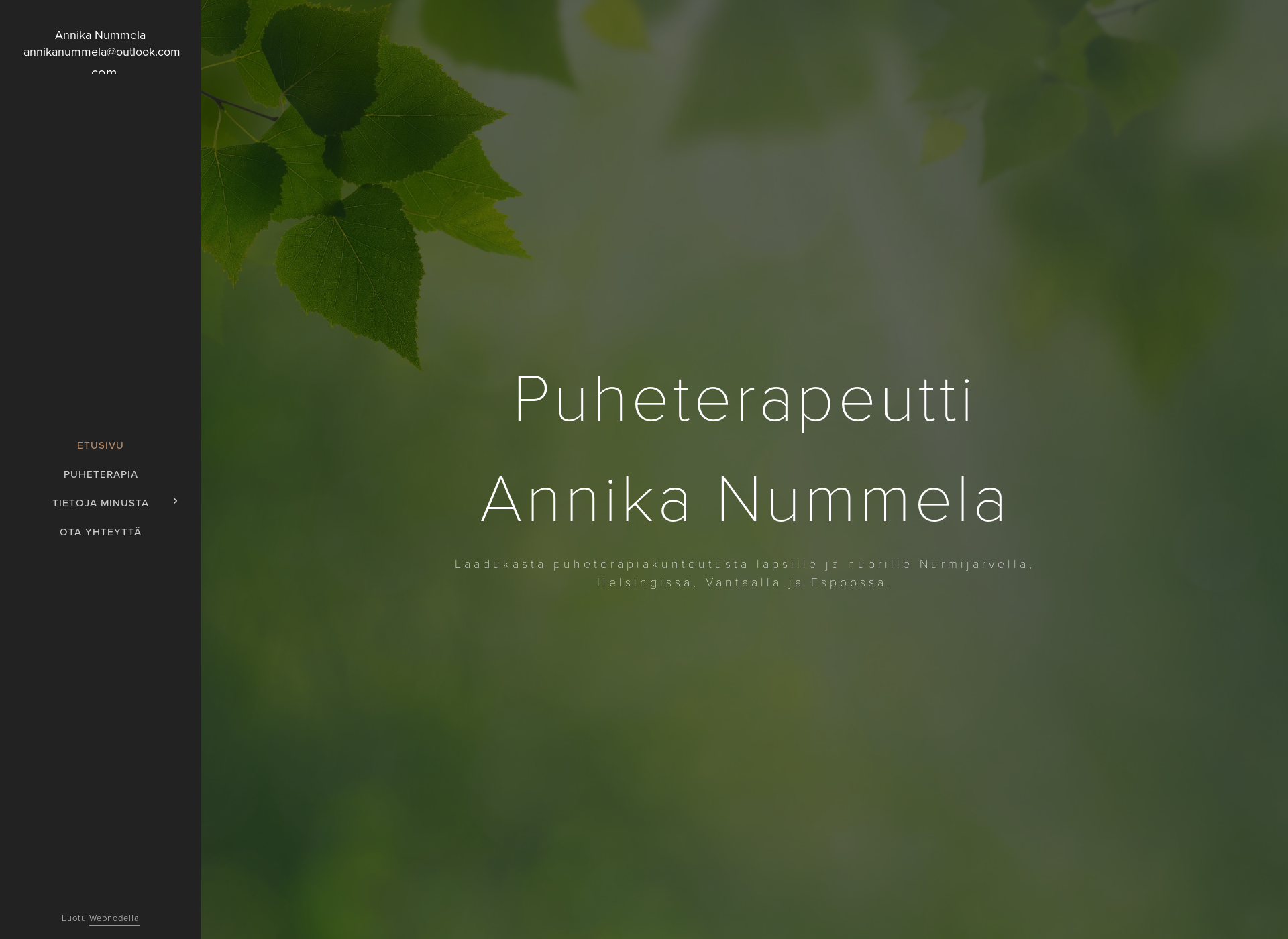 Screenshot for annikanummela.fi