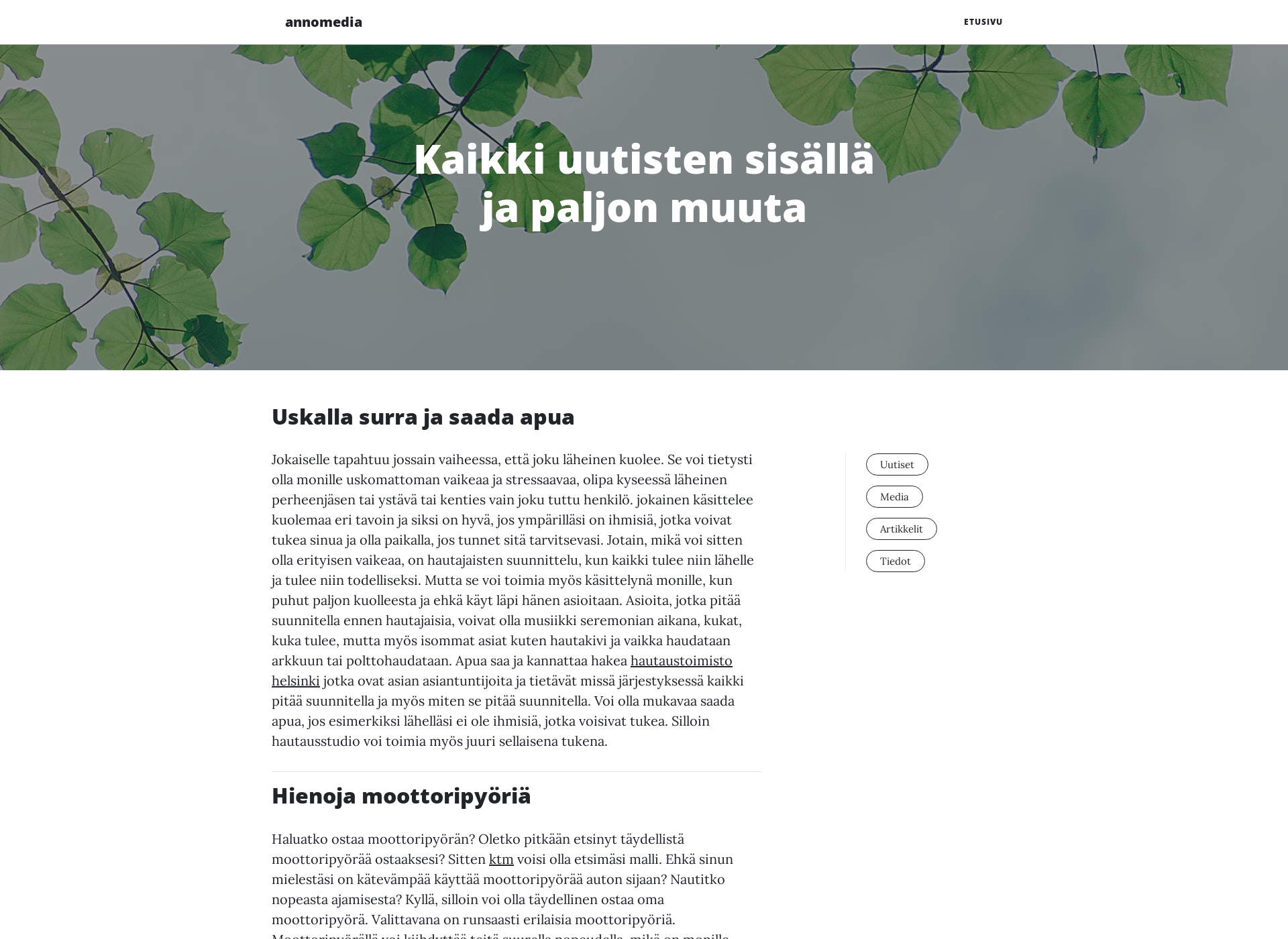 Screenshot for annomedia.fi