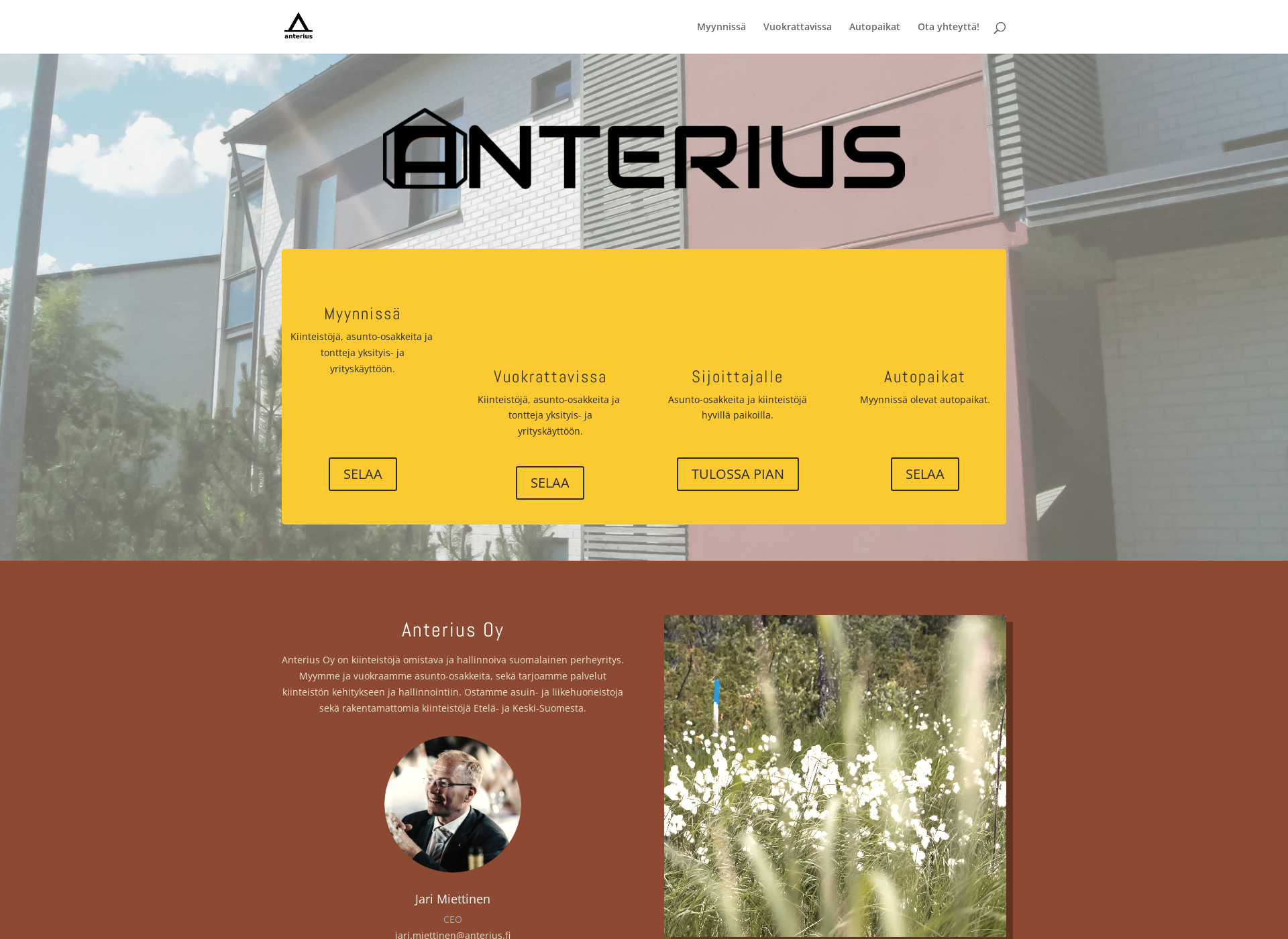 Screenshot for anterius.fi