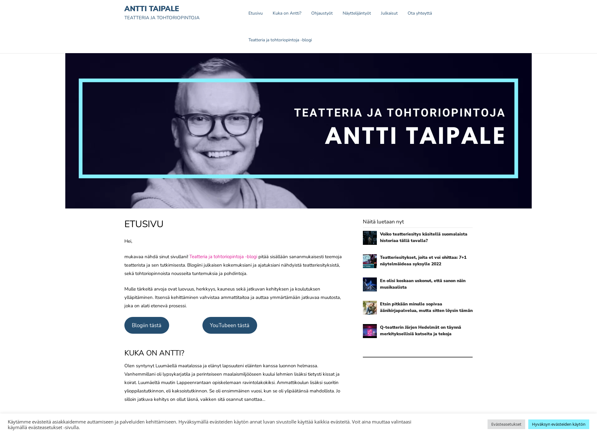 Skärmdump för anttitaipale.fi
