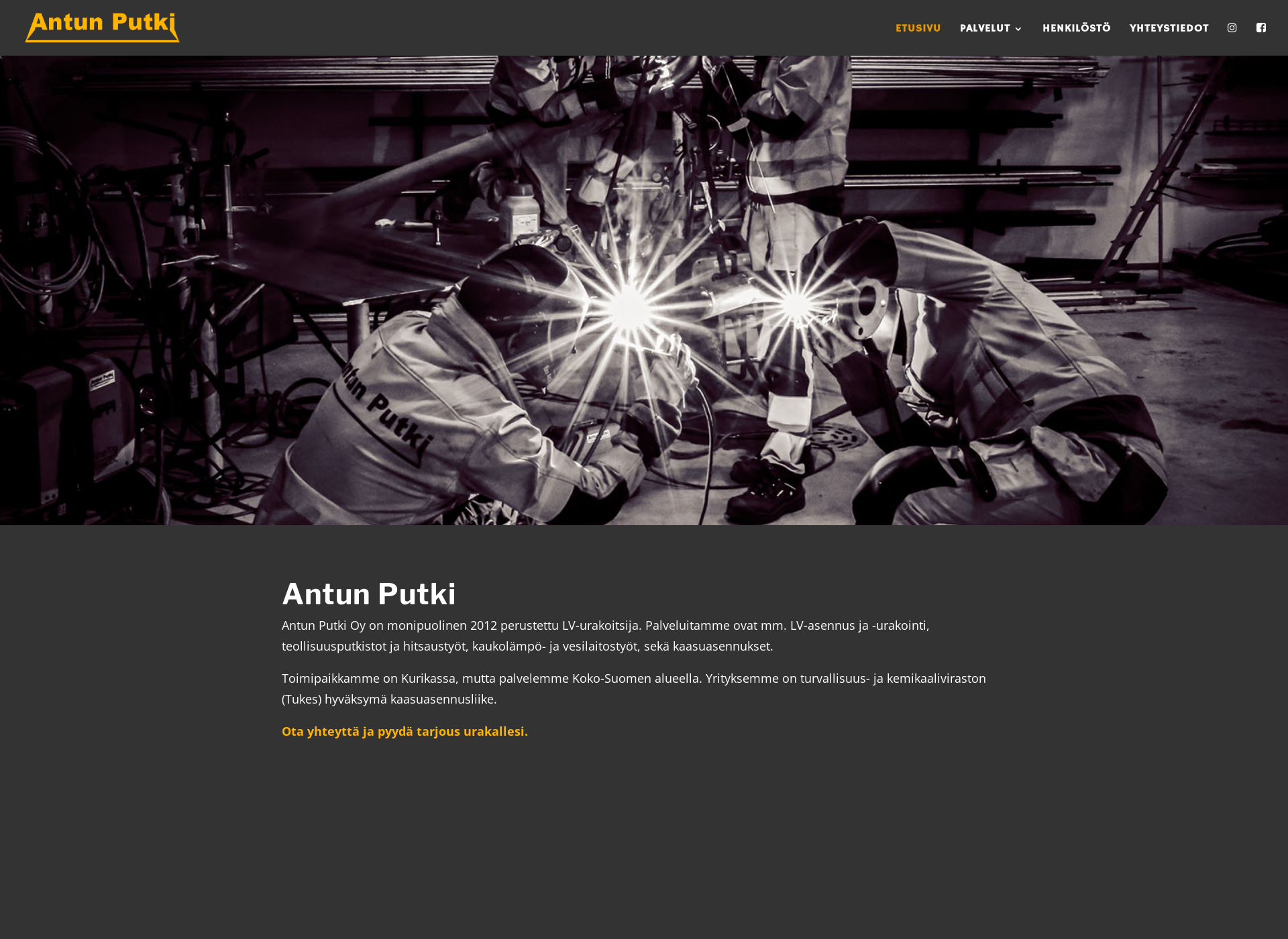 Screenshot for antunputki.fi