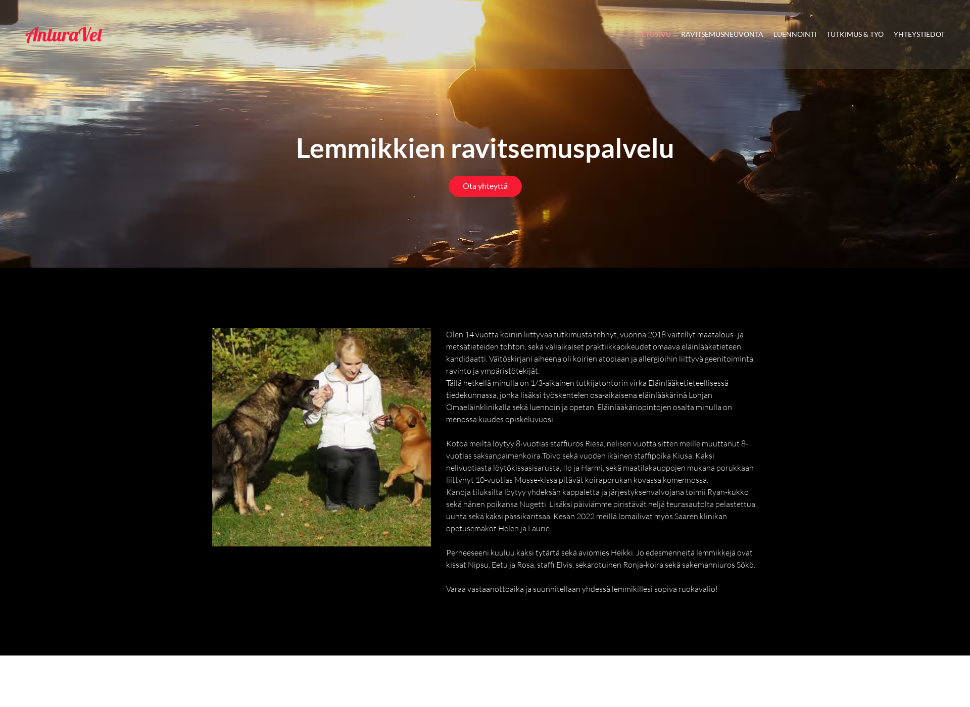 Screenshot for anturaniemi.fi