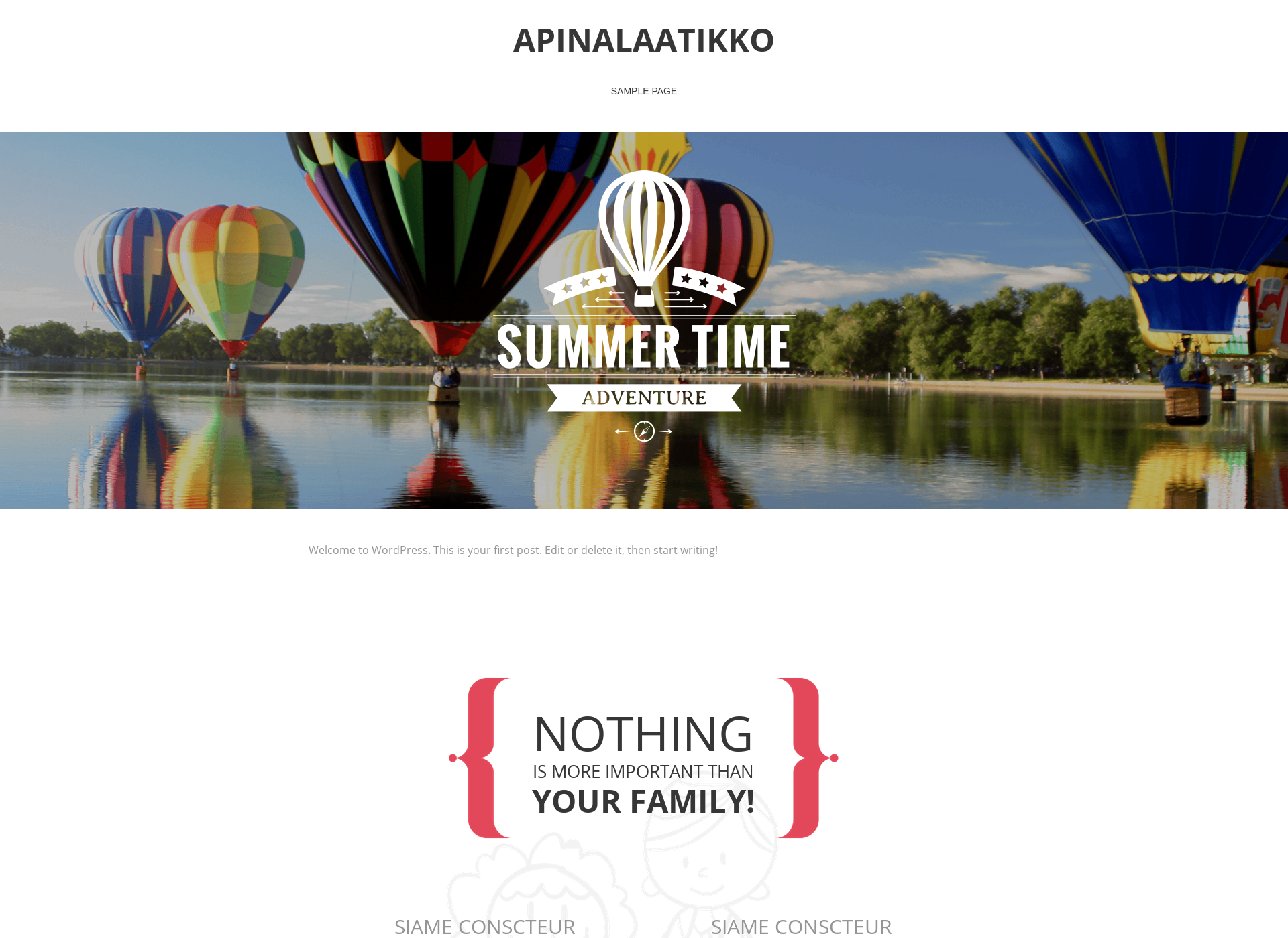 Screenshot for apinalaatikko.fi