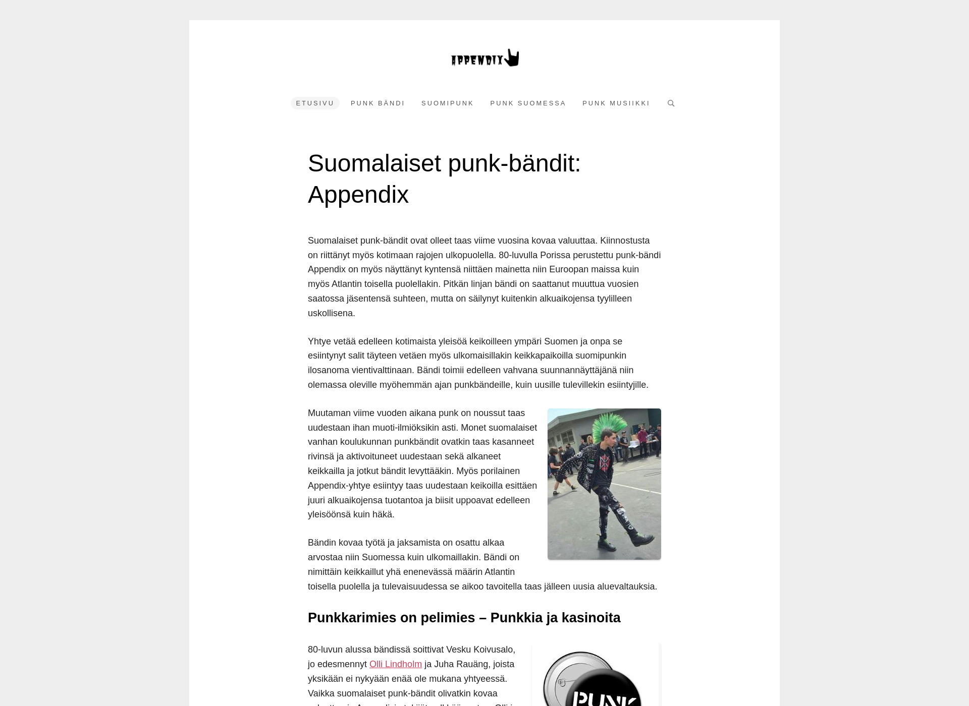 Screenshot for appendix.fi