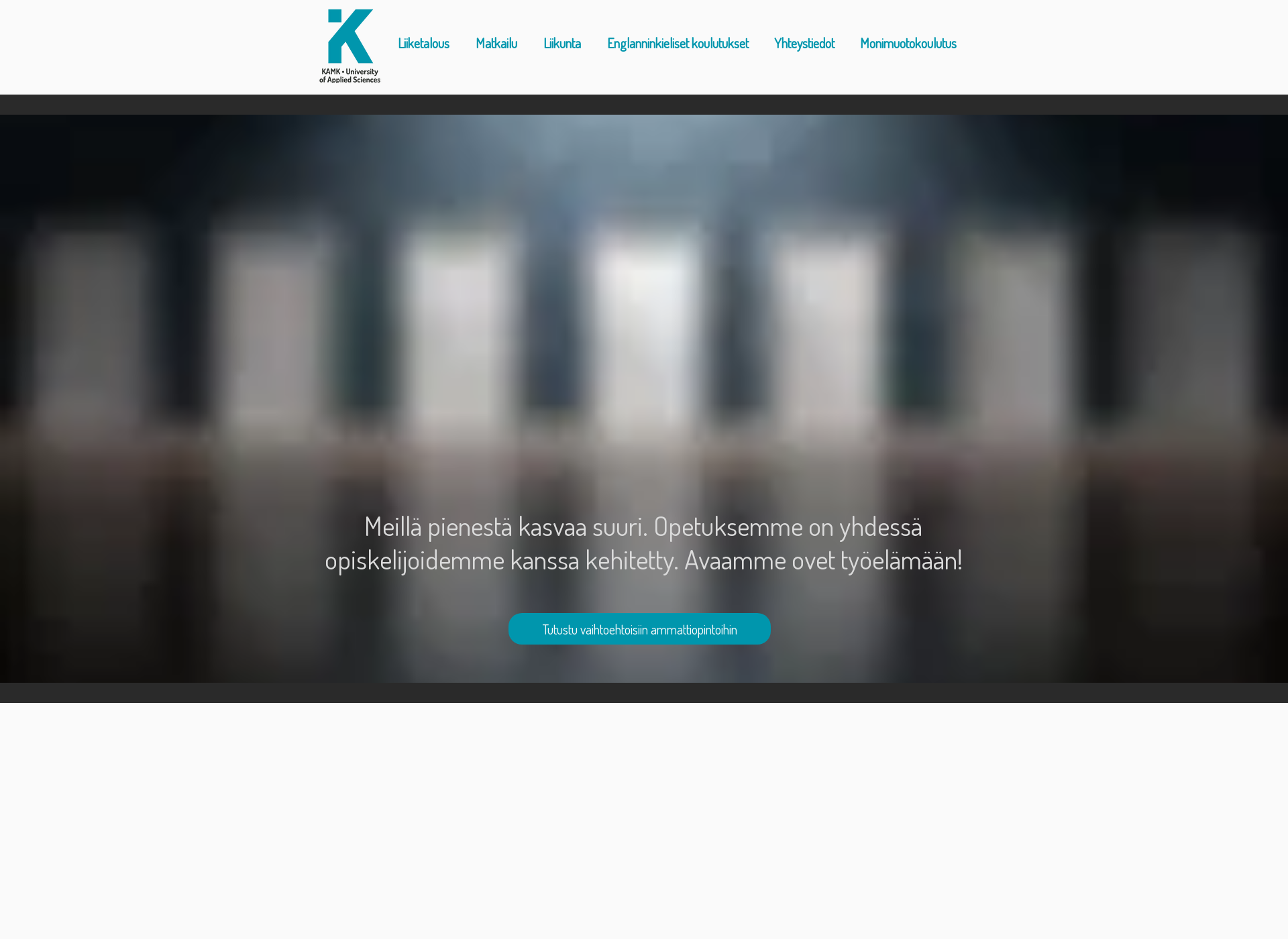 Screenshot for applykamk.fi