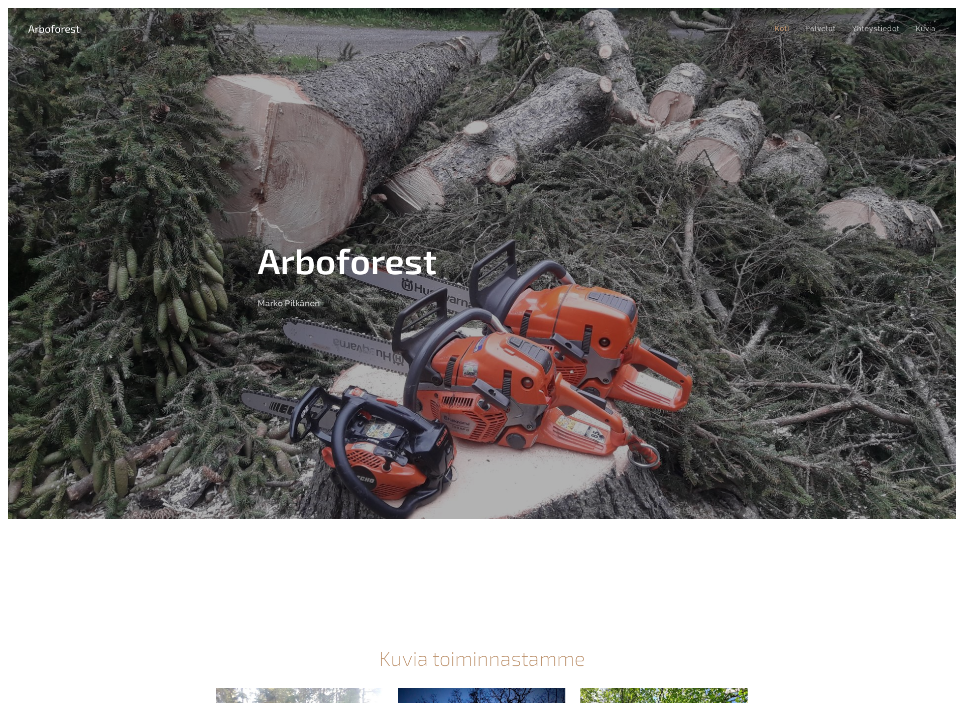 Skärmdump för arboforest.fi