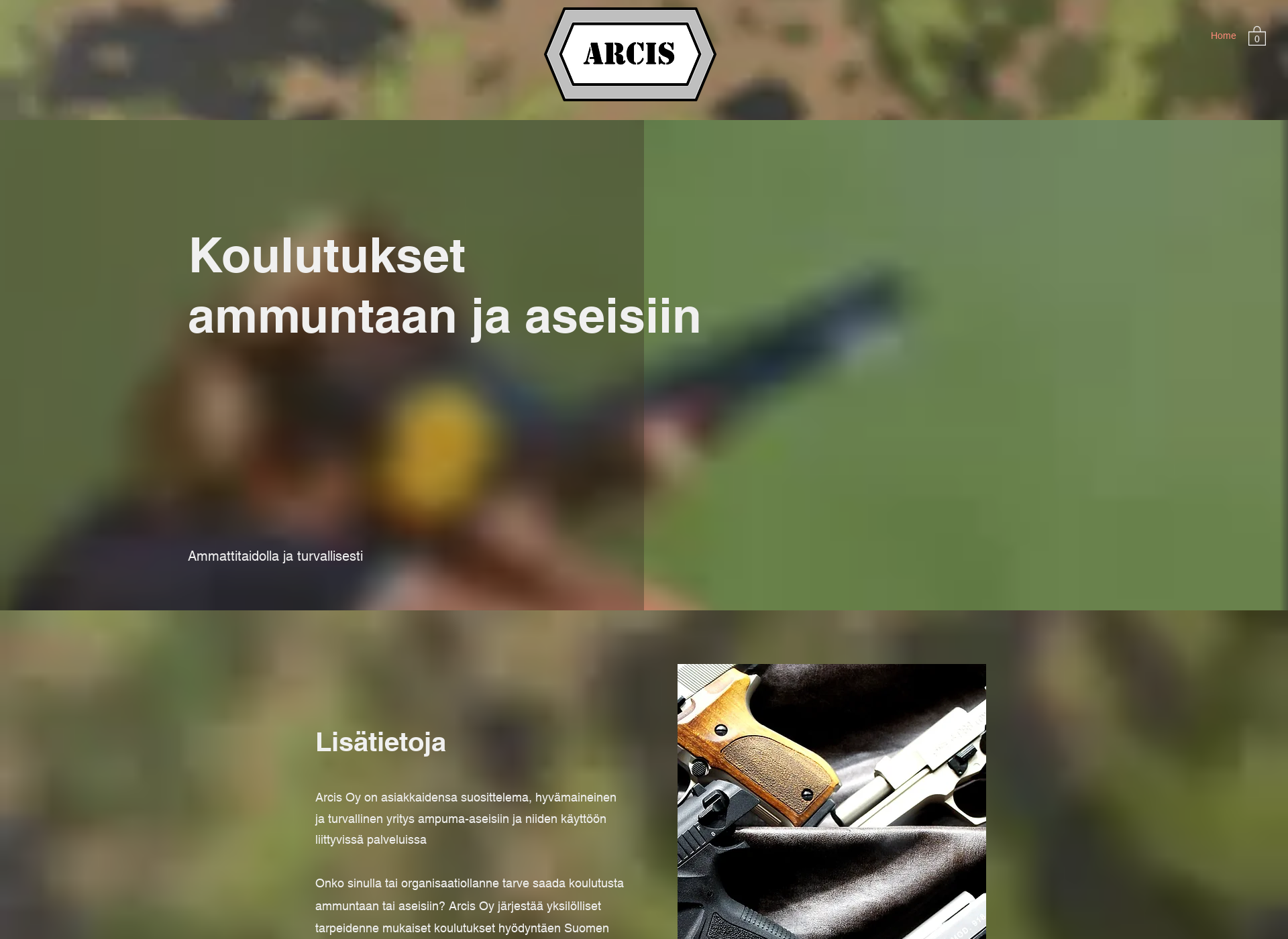 Skärmdump för arcis.fi