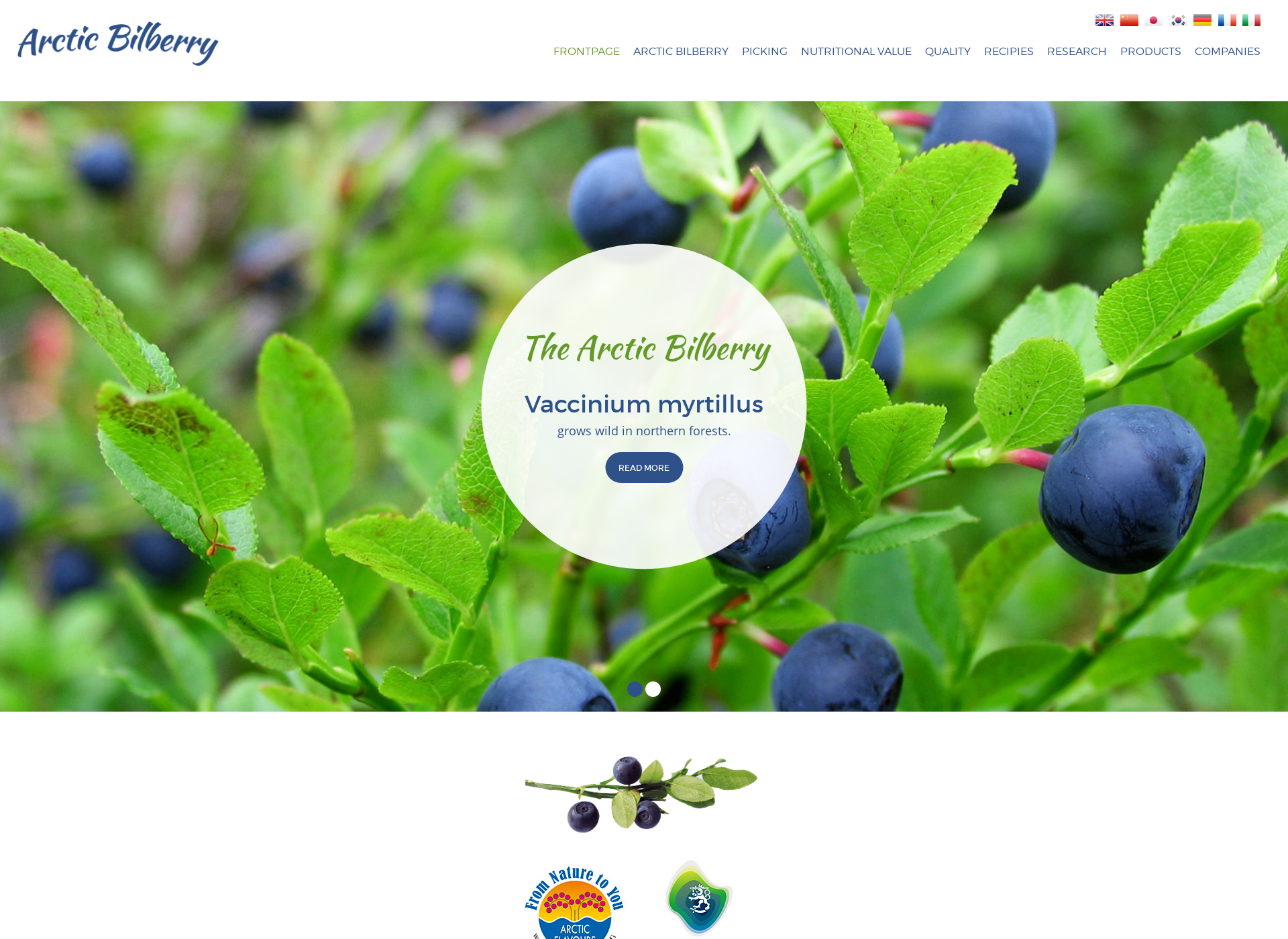 Screenshot for arcticbilberry.fi