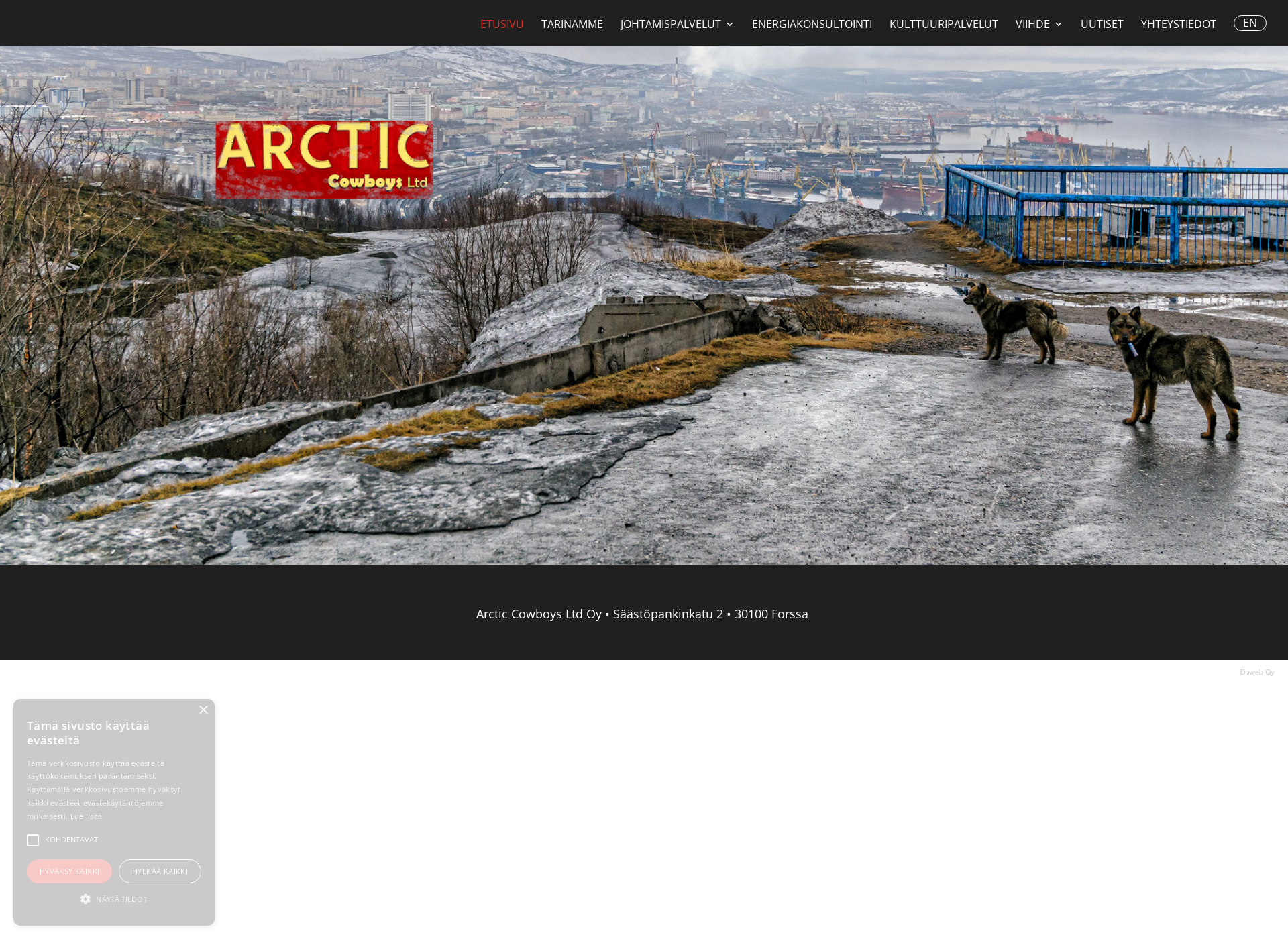 Screenshot for arcticcowboys.fi
