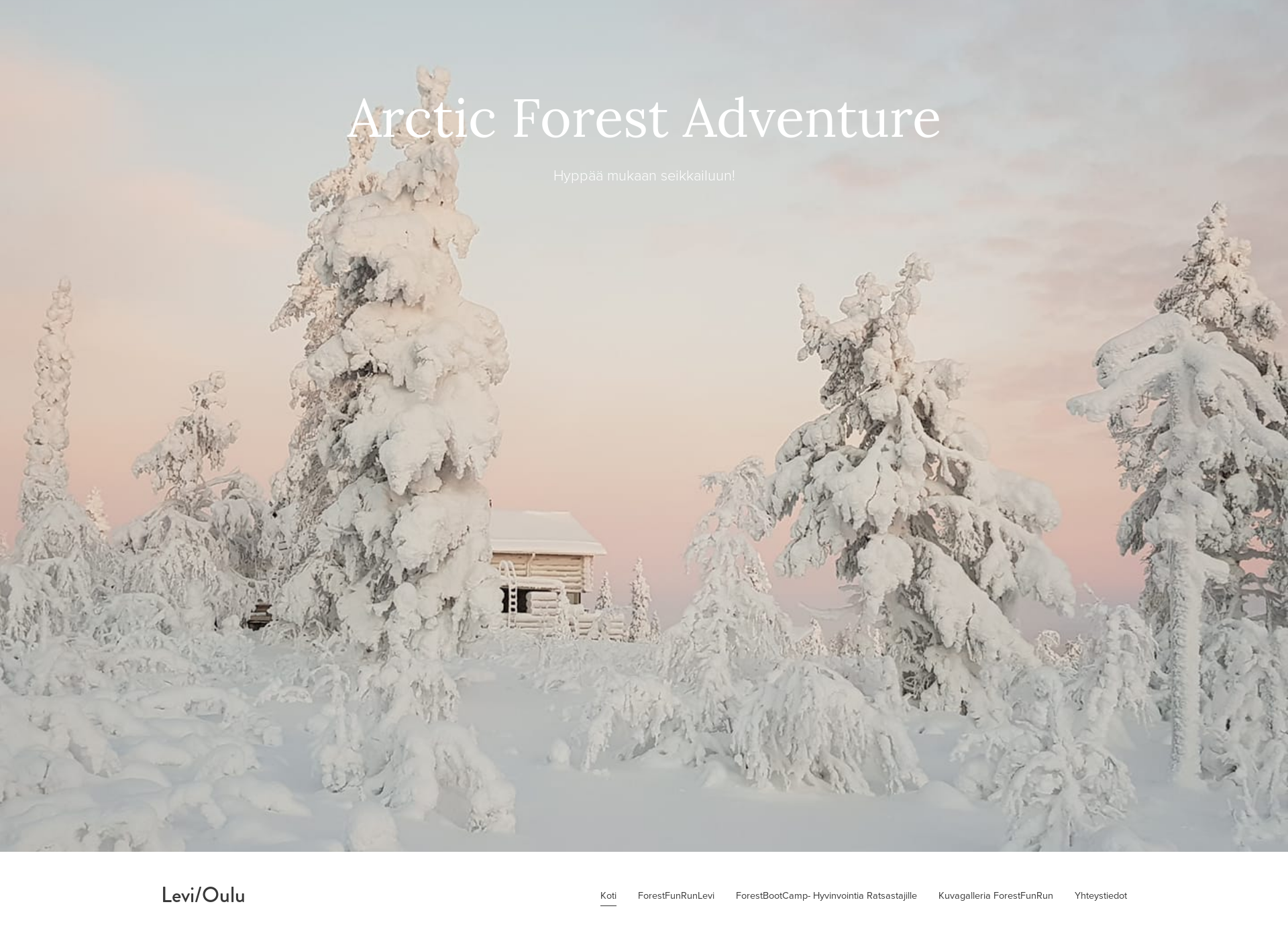 Skärmdump för arcticforestadventure.fi