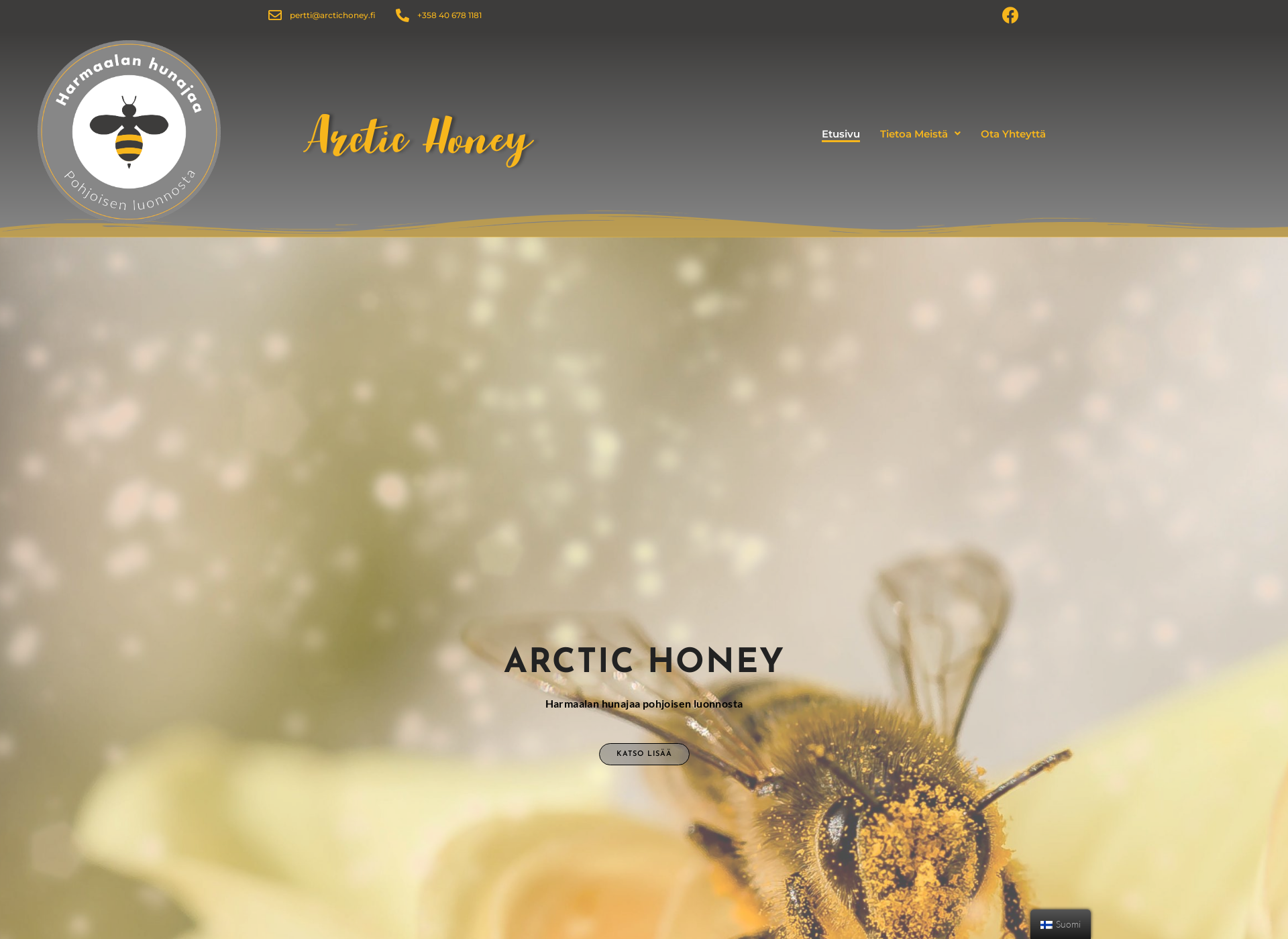 Screenshot for arctichoney.fi