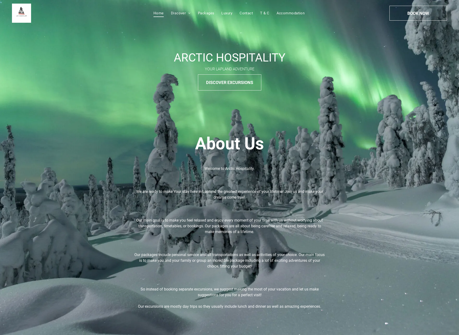Screenshot for arctichospitality.fi