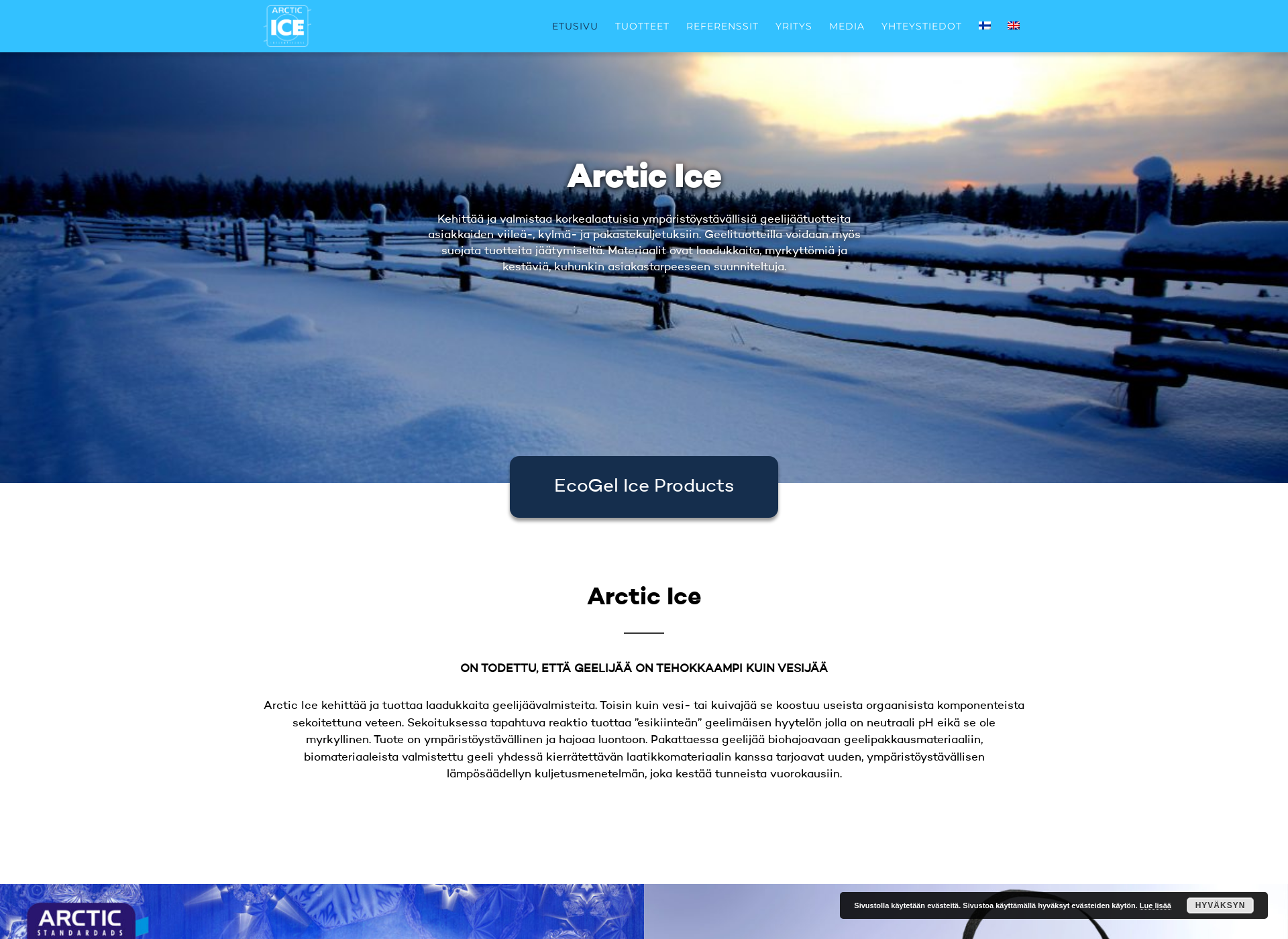 Screenshot for arcticice.fi