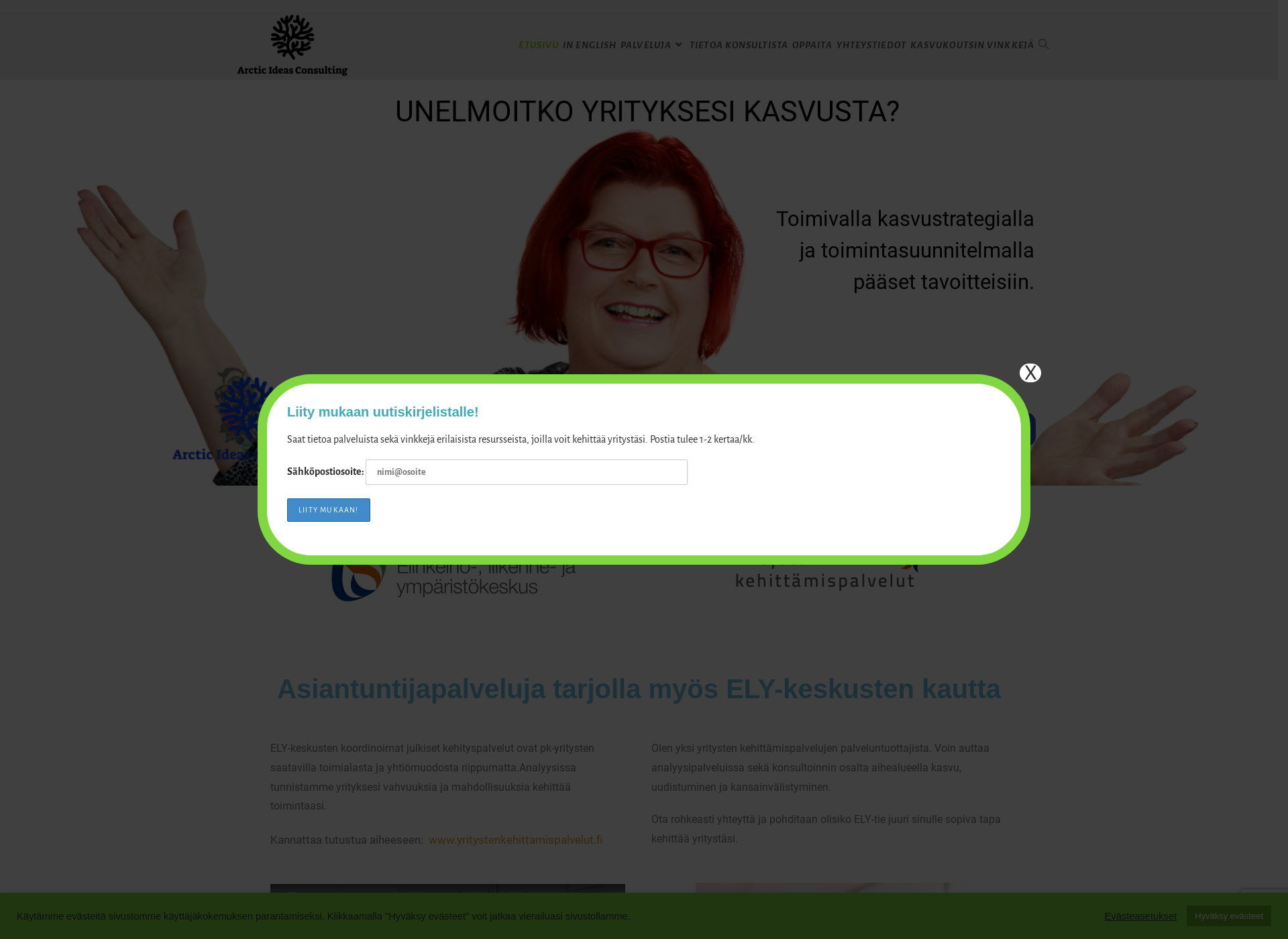 Skärmdump för arcticideas.fi