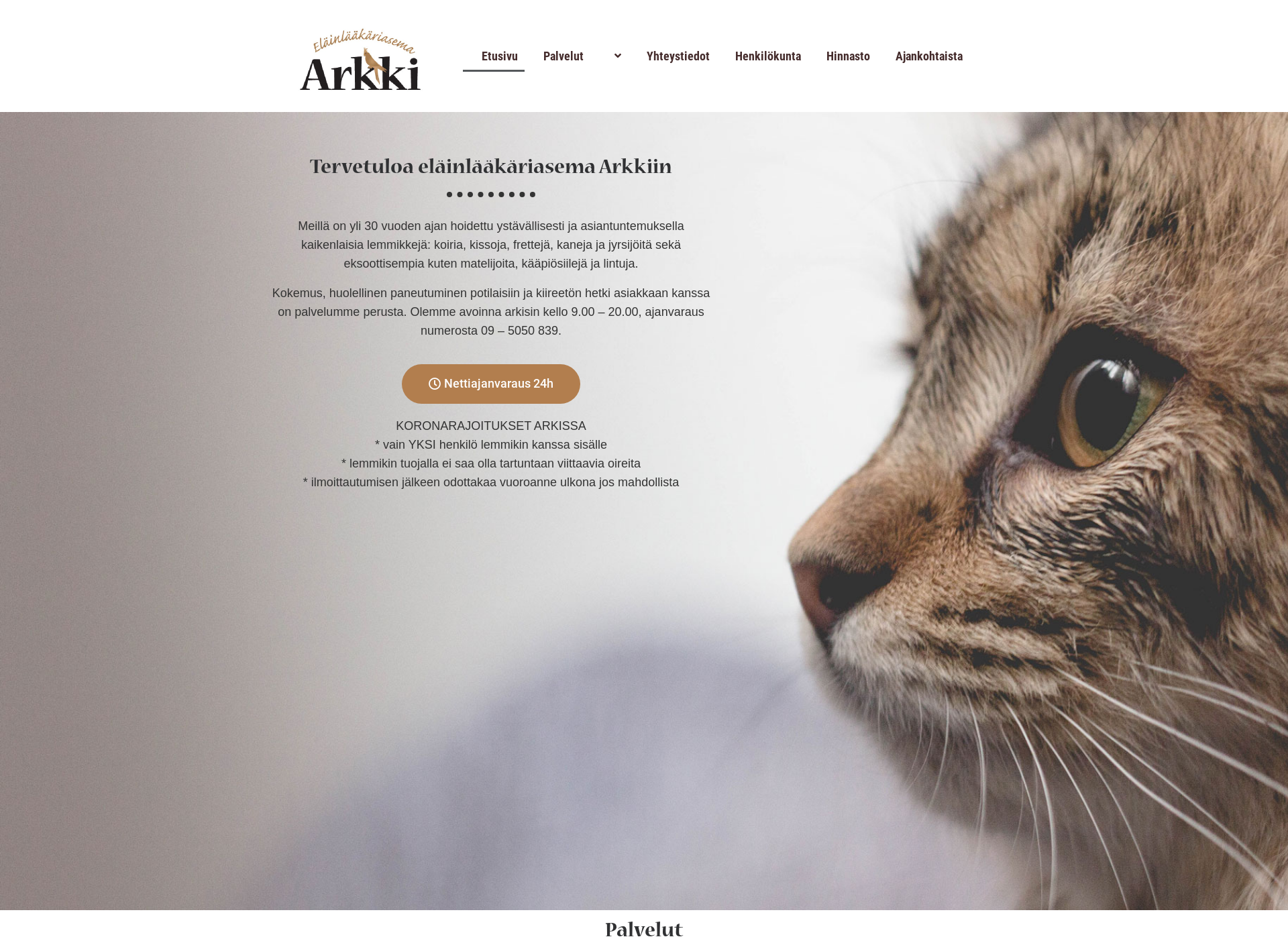 Screenshot for arkkivet.fi
