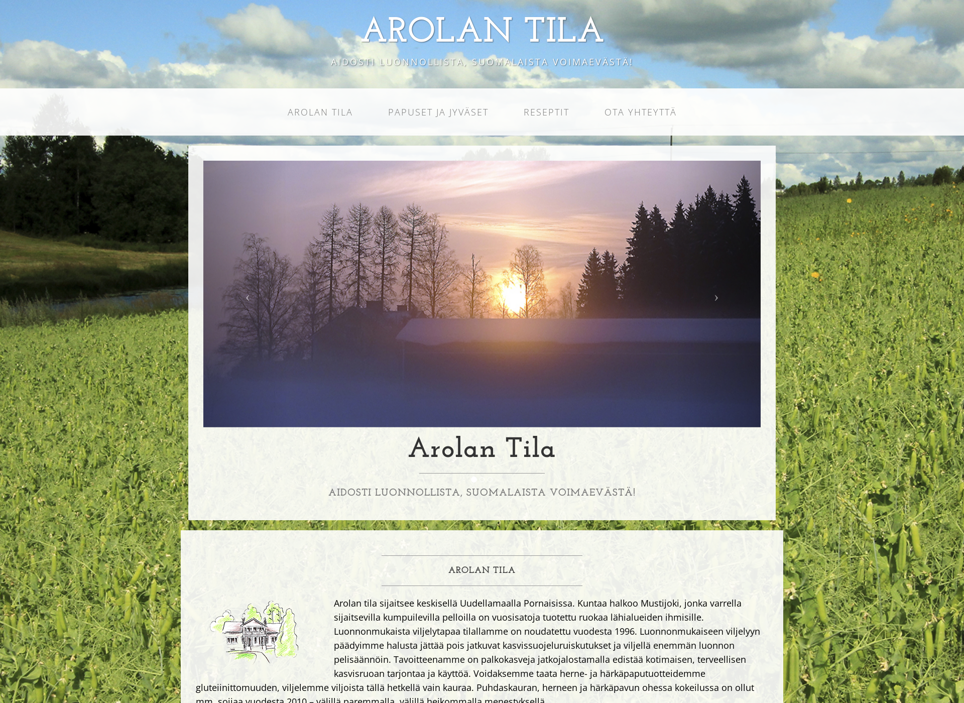 Screenshot for arolanluomu.fi