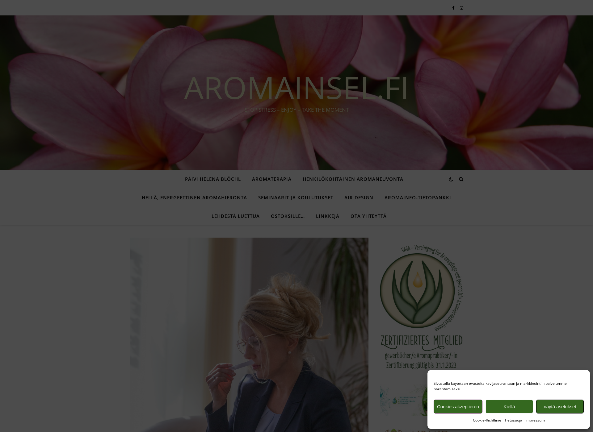 Screenshot for aromainsel.fi