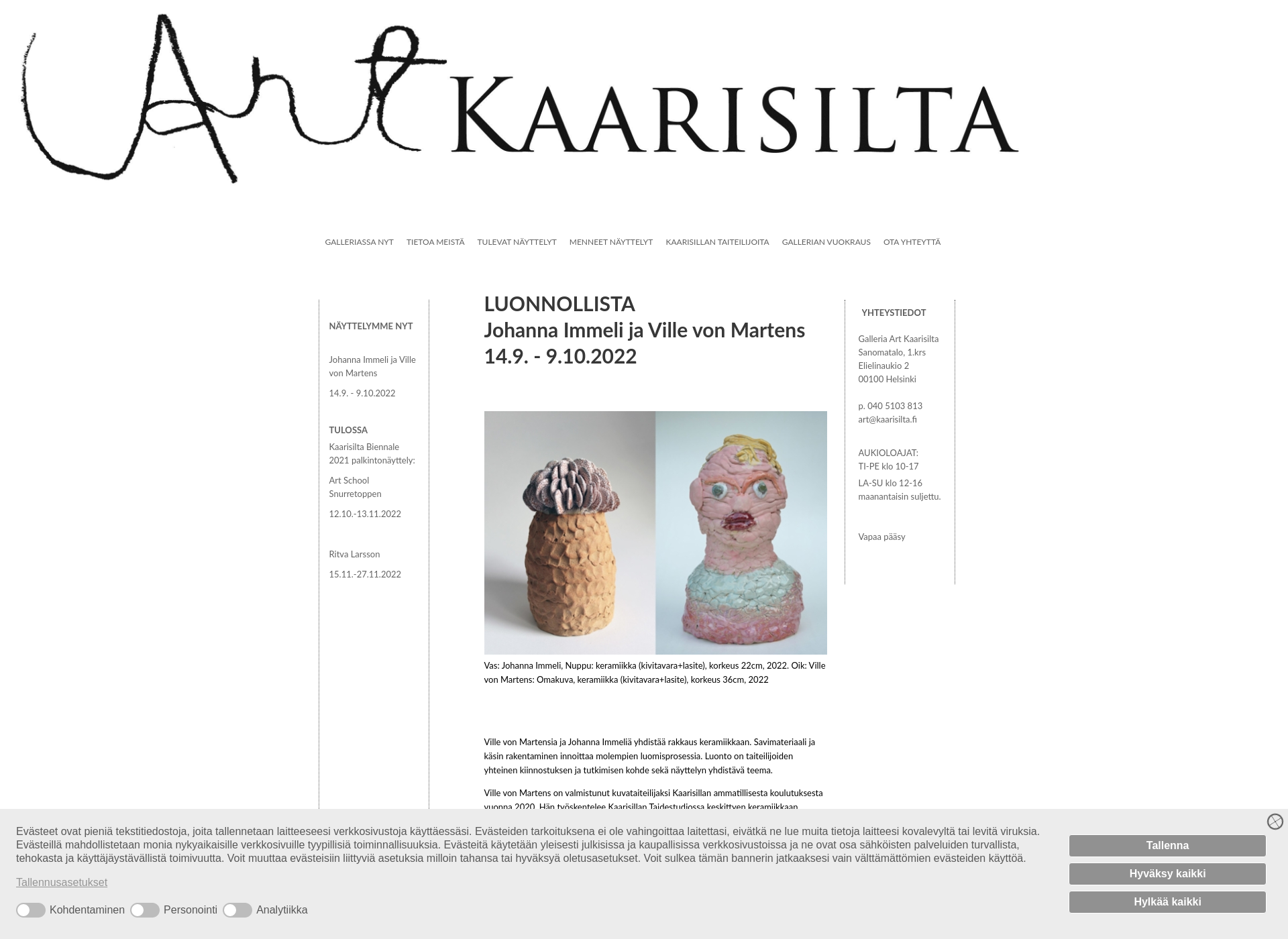 Skärmdump för artkaarisilta.fi