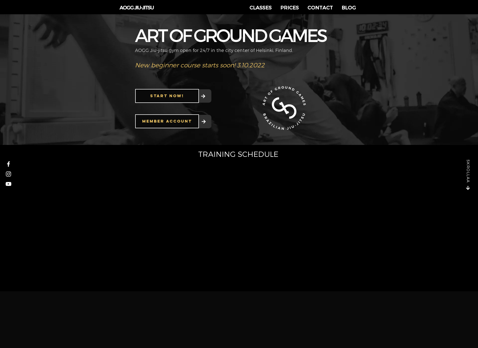 Skärmdump för artofgroundgames.fi