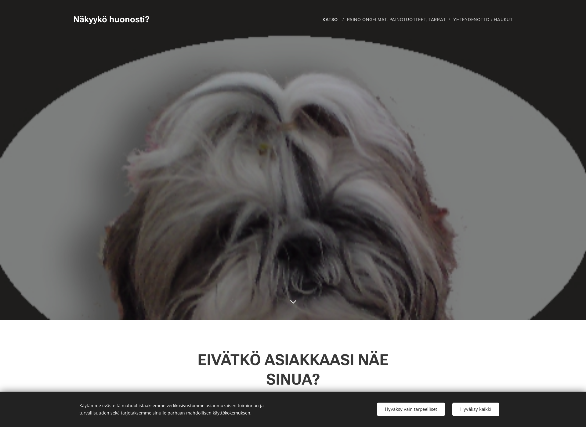 Screenshot for artpaino.fi