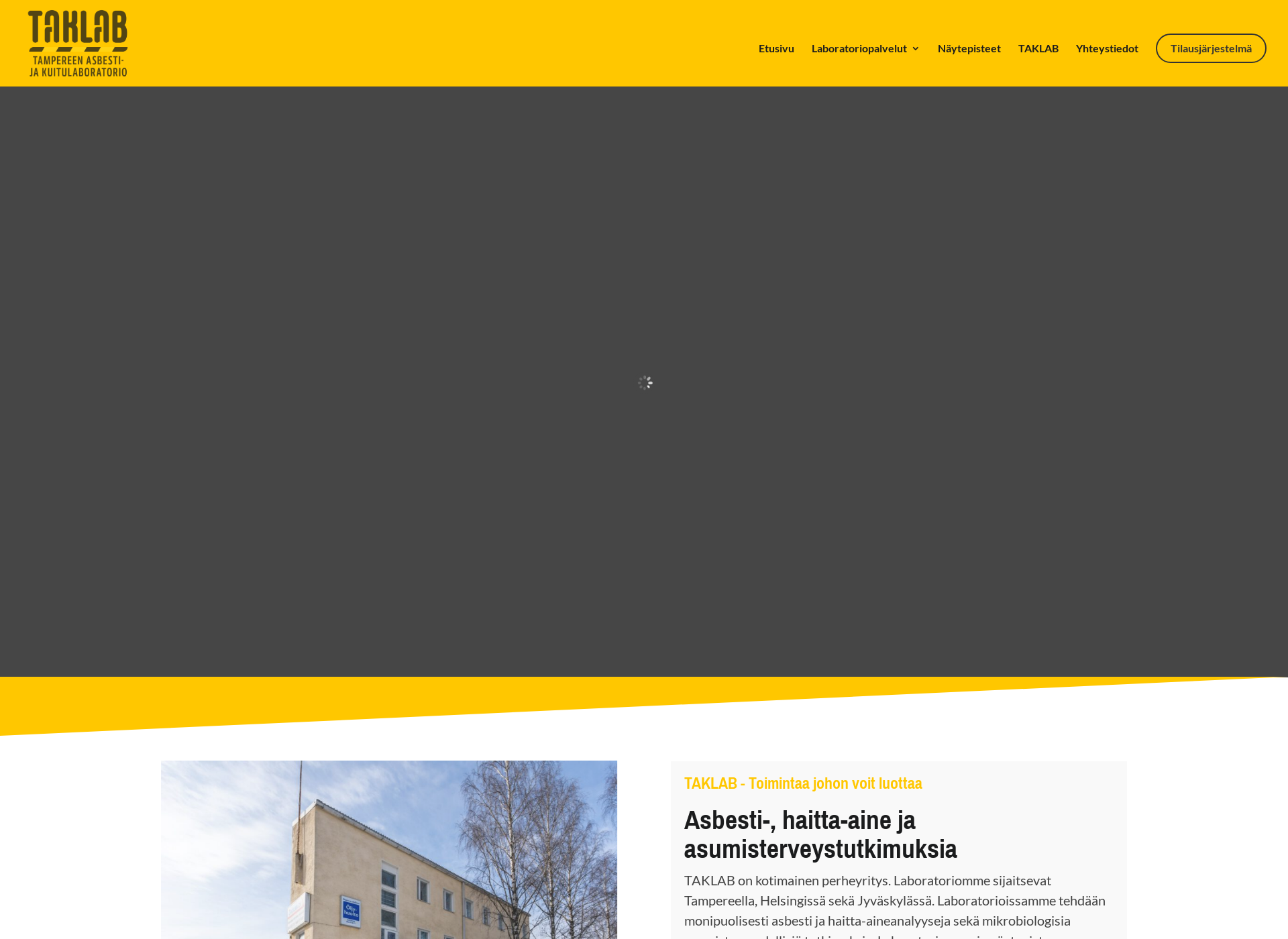 Screenshot for asbestilaboratorio.fi