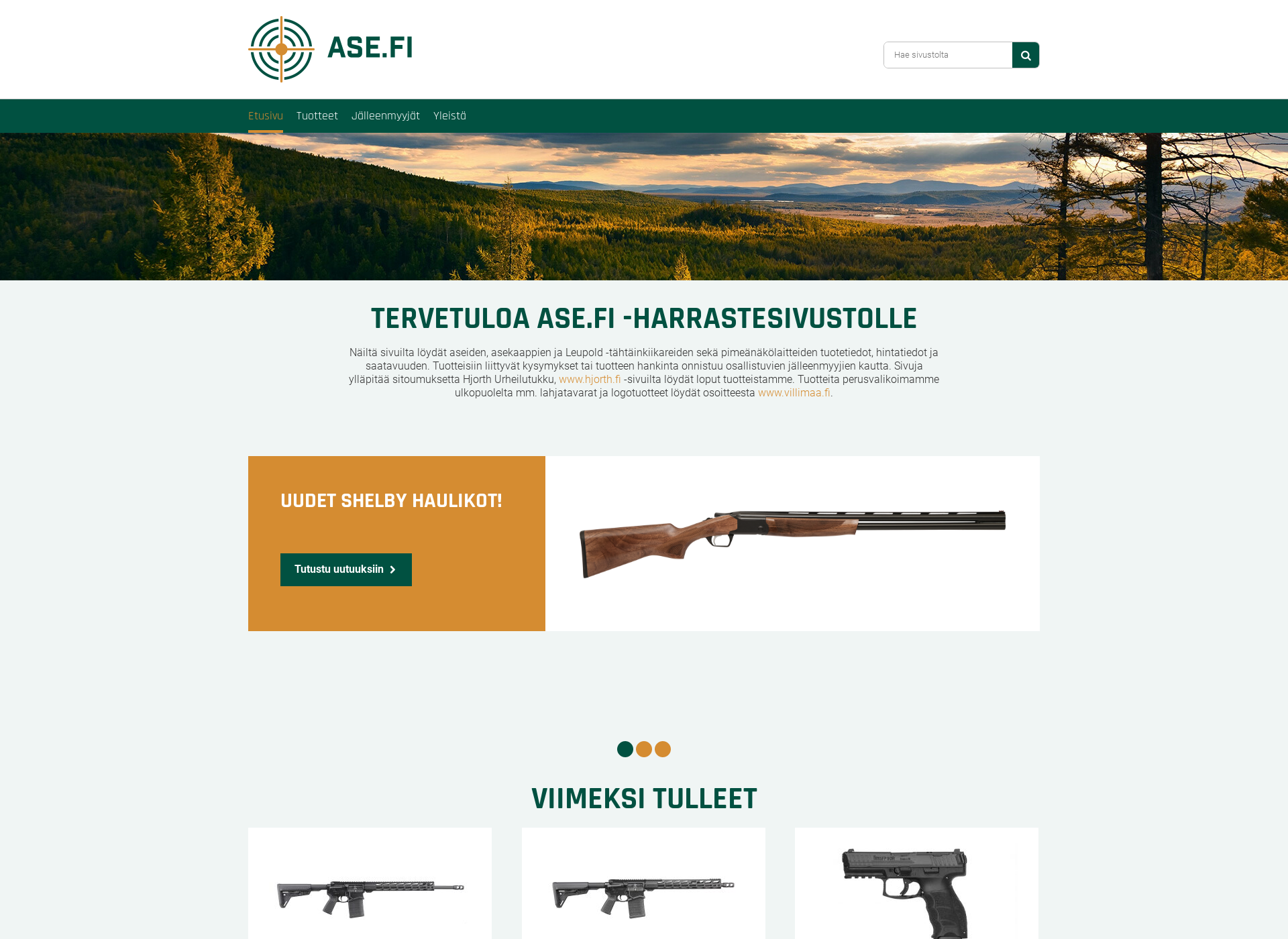 Skärmdump för ase.fi