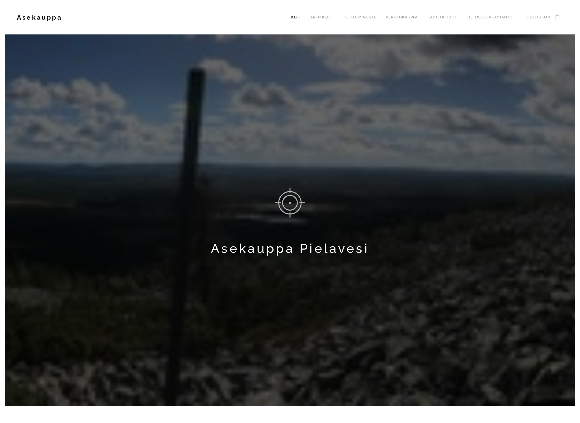 Skärmdump för aseshop.fi