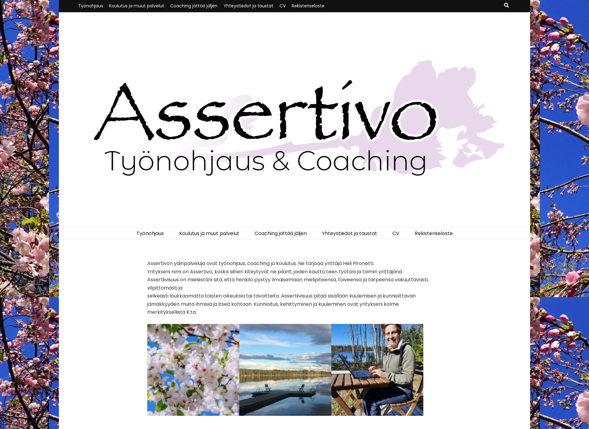 Screenshot for assertivo.fi