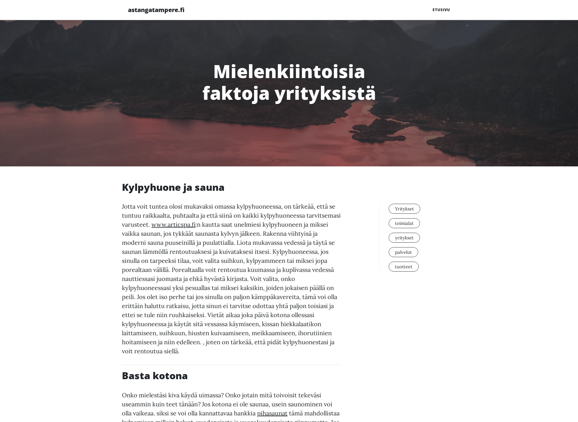 Skärmdump för astangatampere.fi
