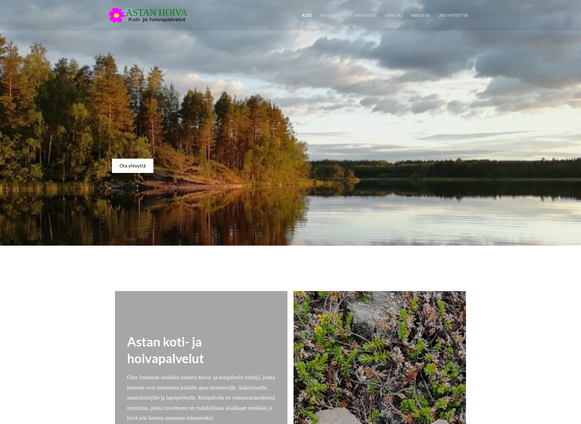 Screenshot for astanhoiva.fi
