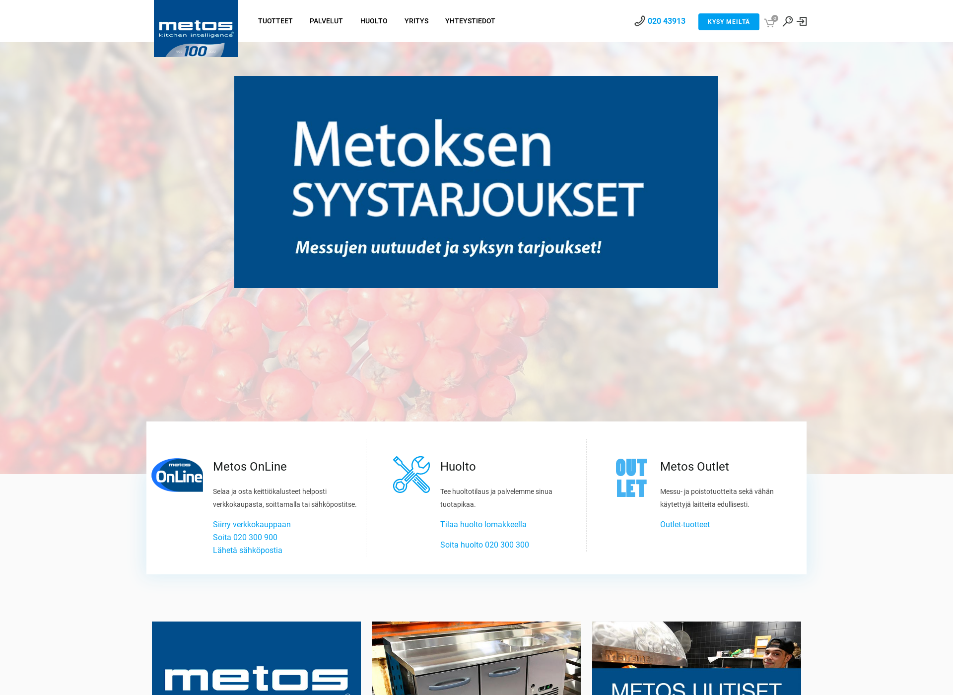 Screenshot for astianpesukori.fi
