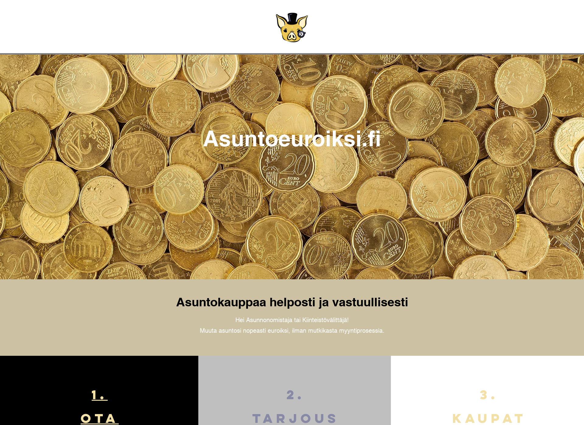 Screenshot for asuntoeuroiksi.fi