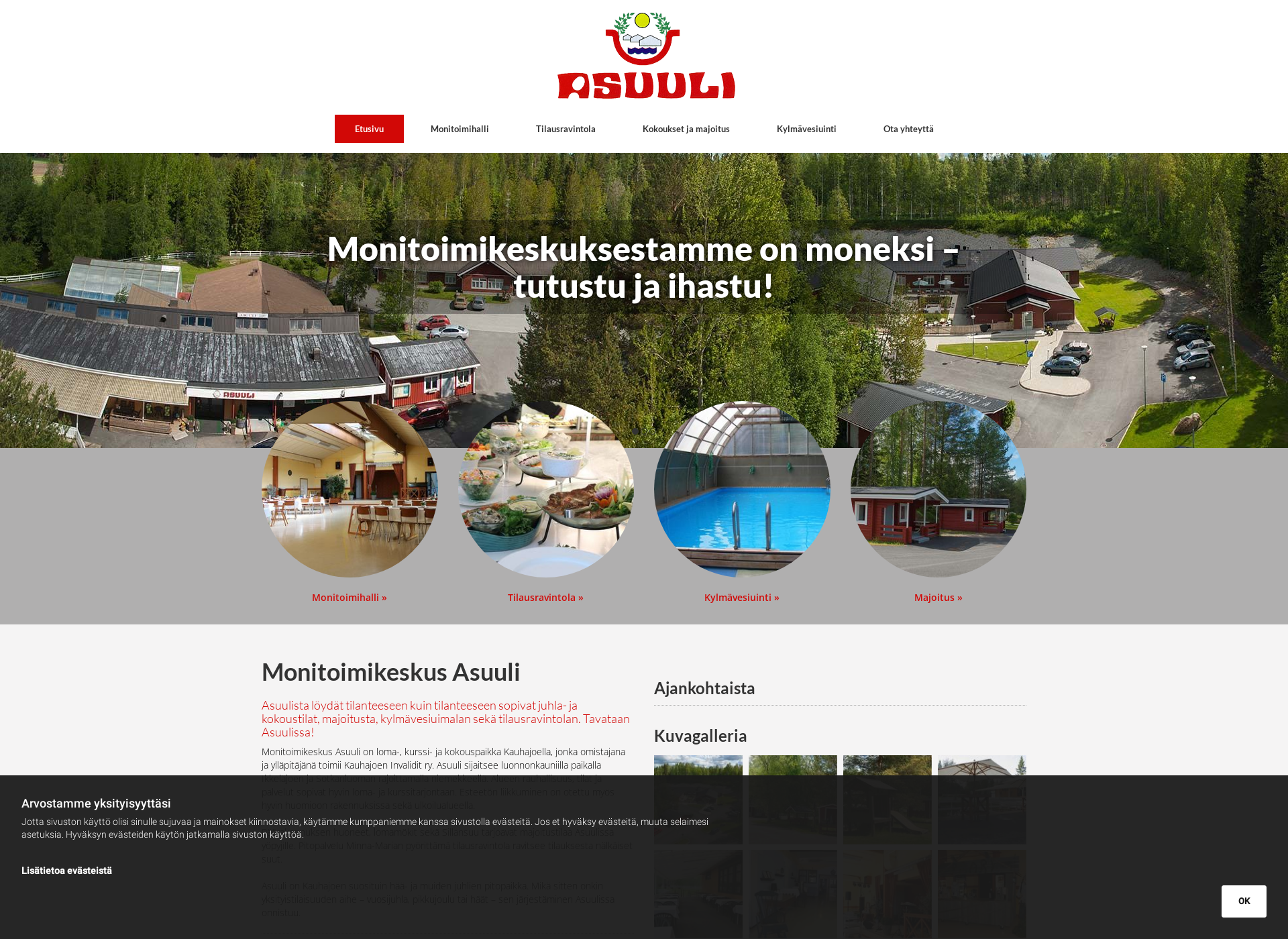 Skärmdump för asuuli.fi