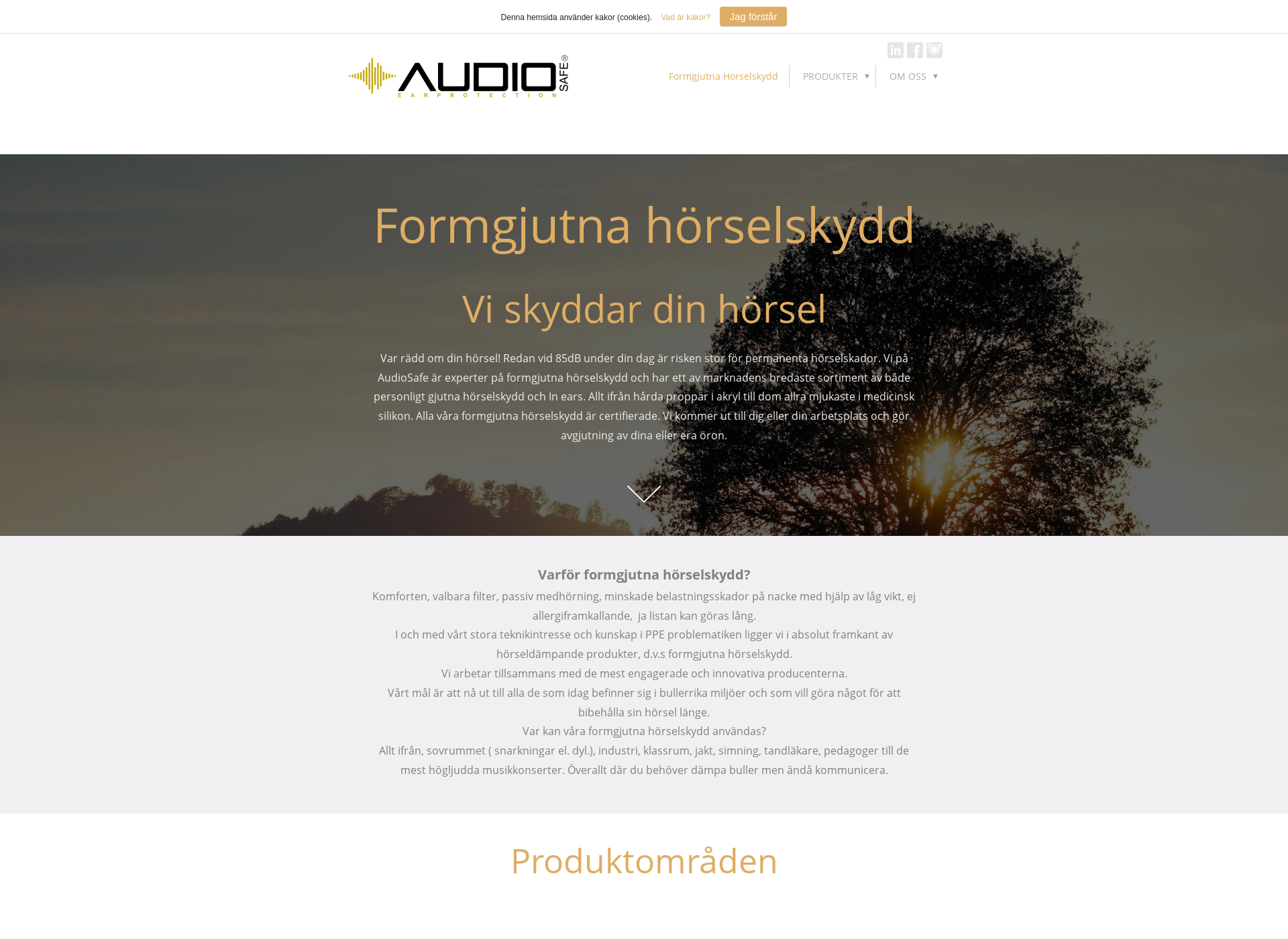 Screenshot for audiosafe.fi