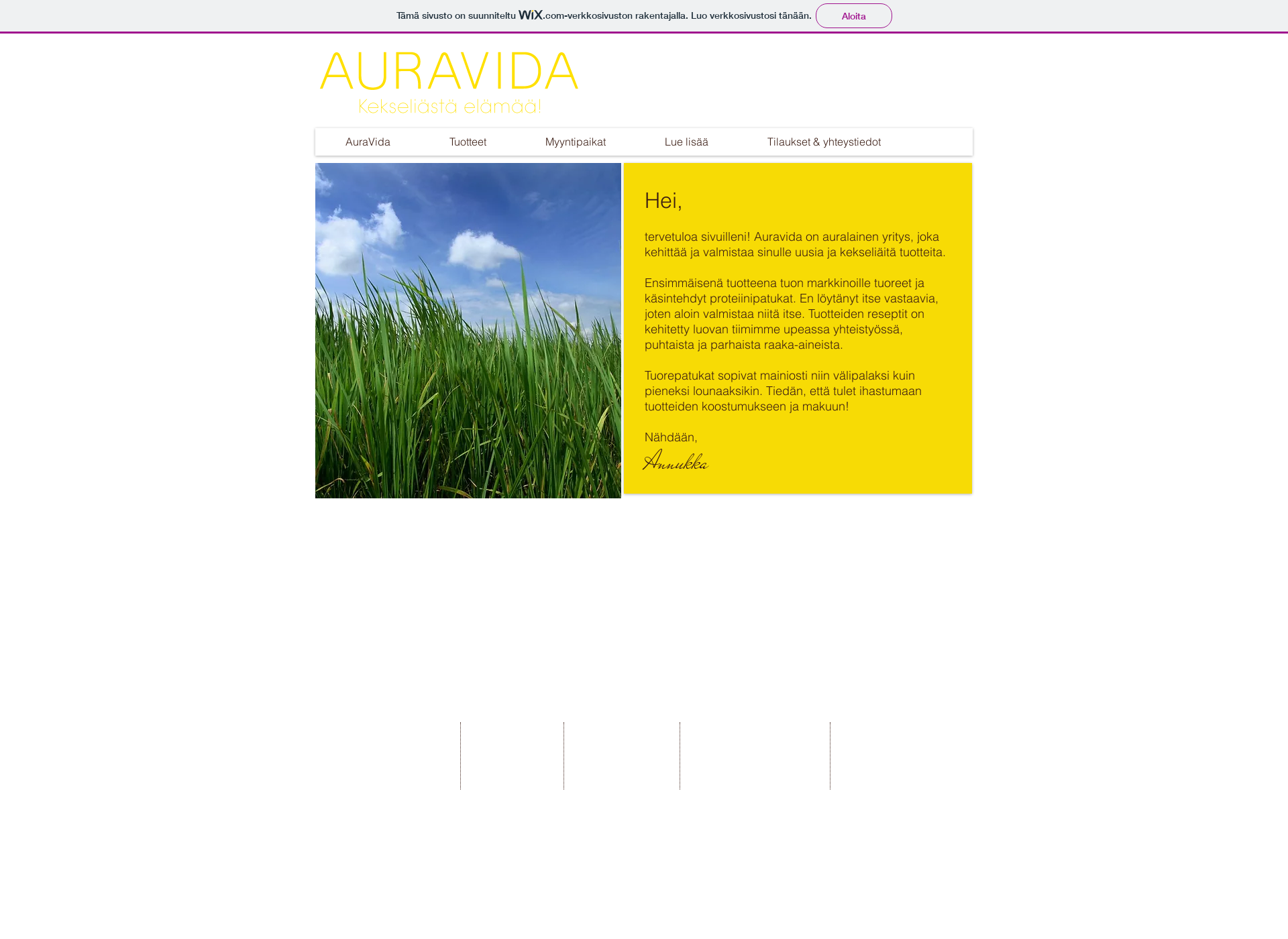 Screenshot for auravida.fi