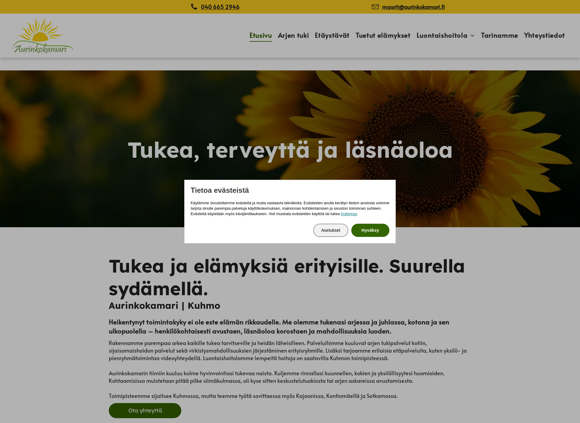Screenshot for aurinkokamari.fi