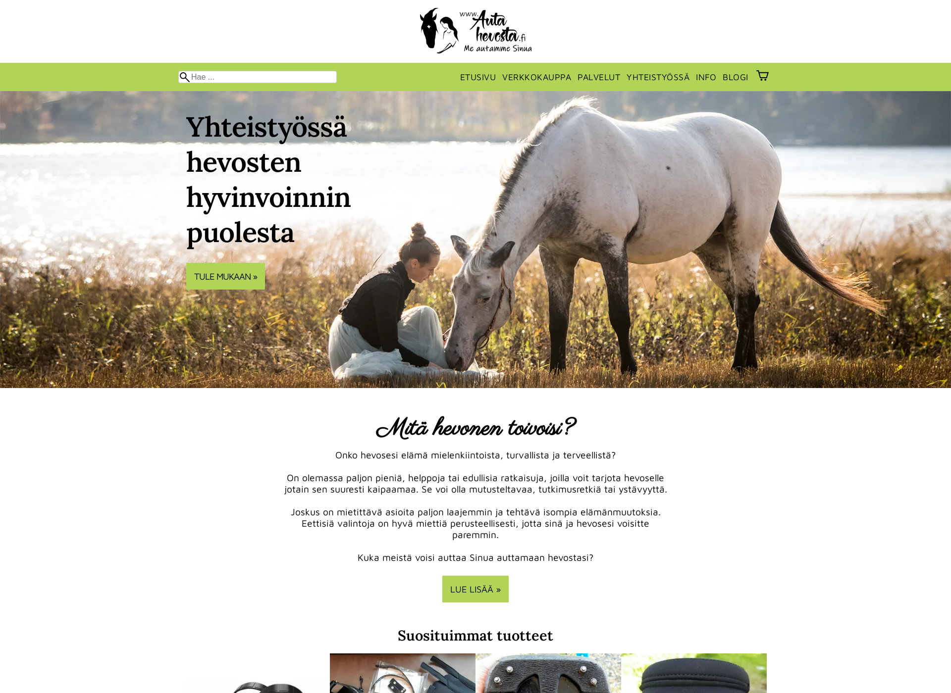 Screenshot for autahevosta.fi