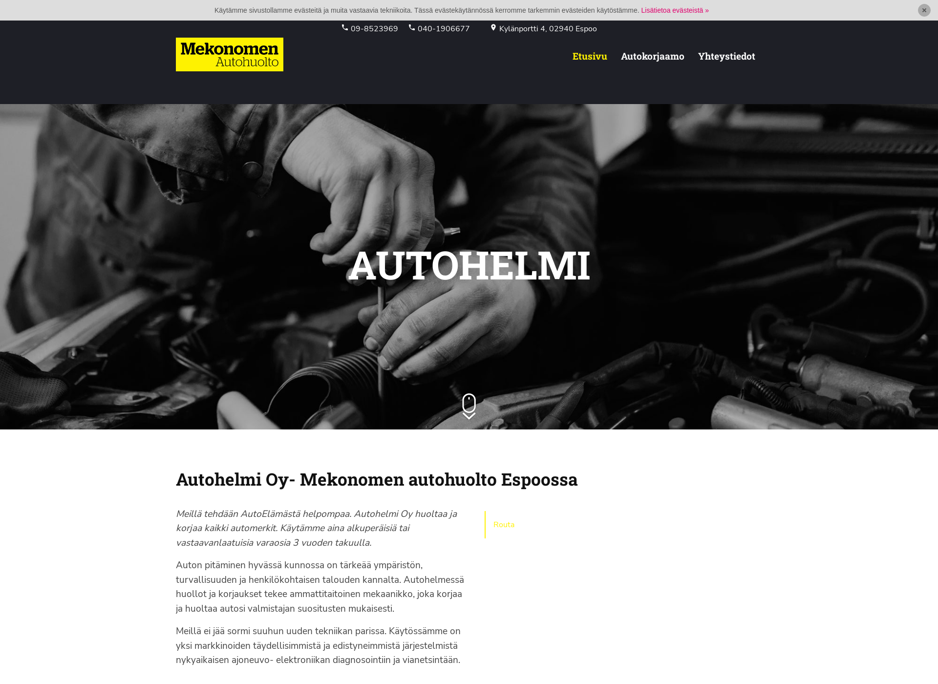 Screenshot for autohelmi.fi