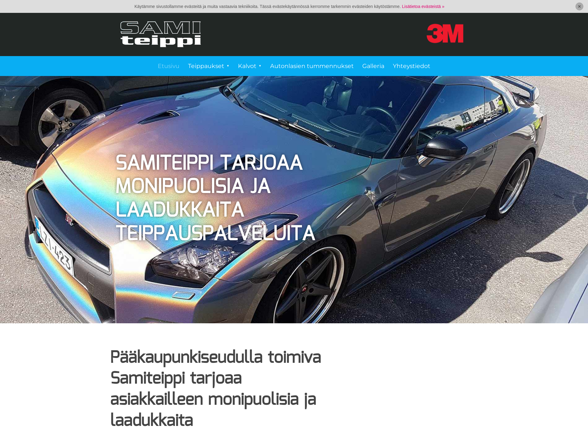 Skärmdump för autonyliteippaus.fi
