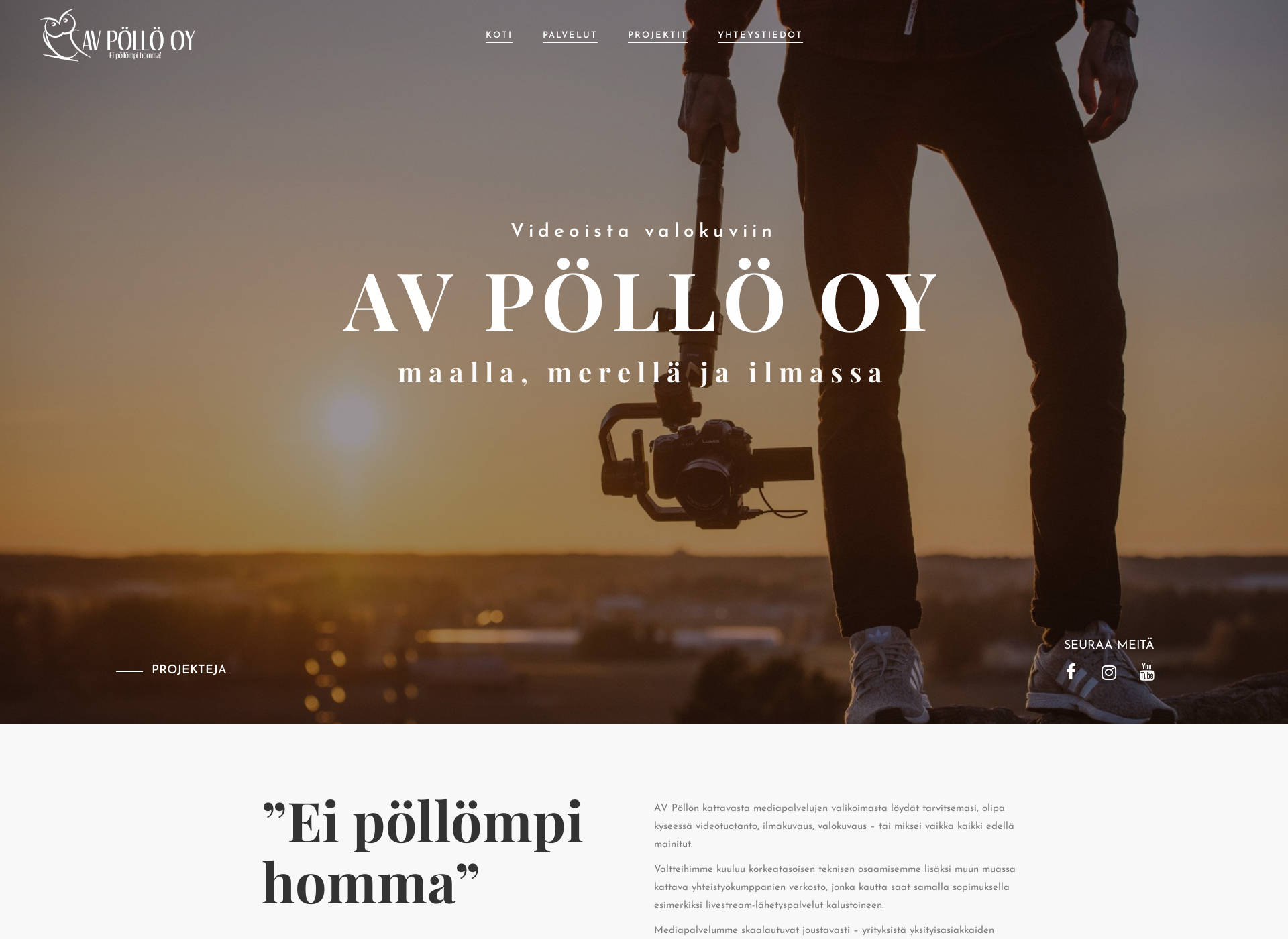 Screenshot for av-pollo.fi