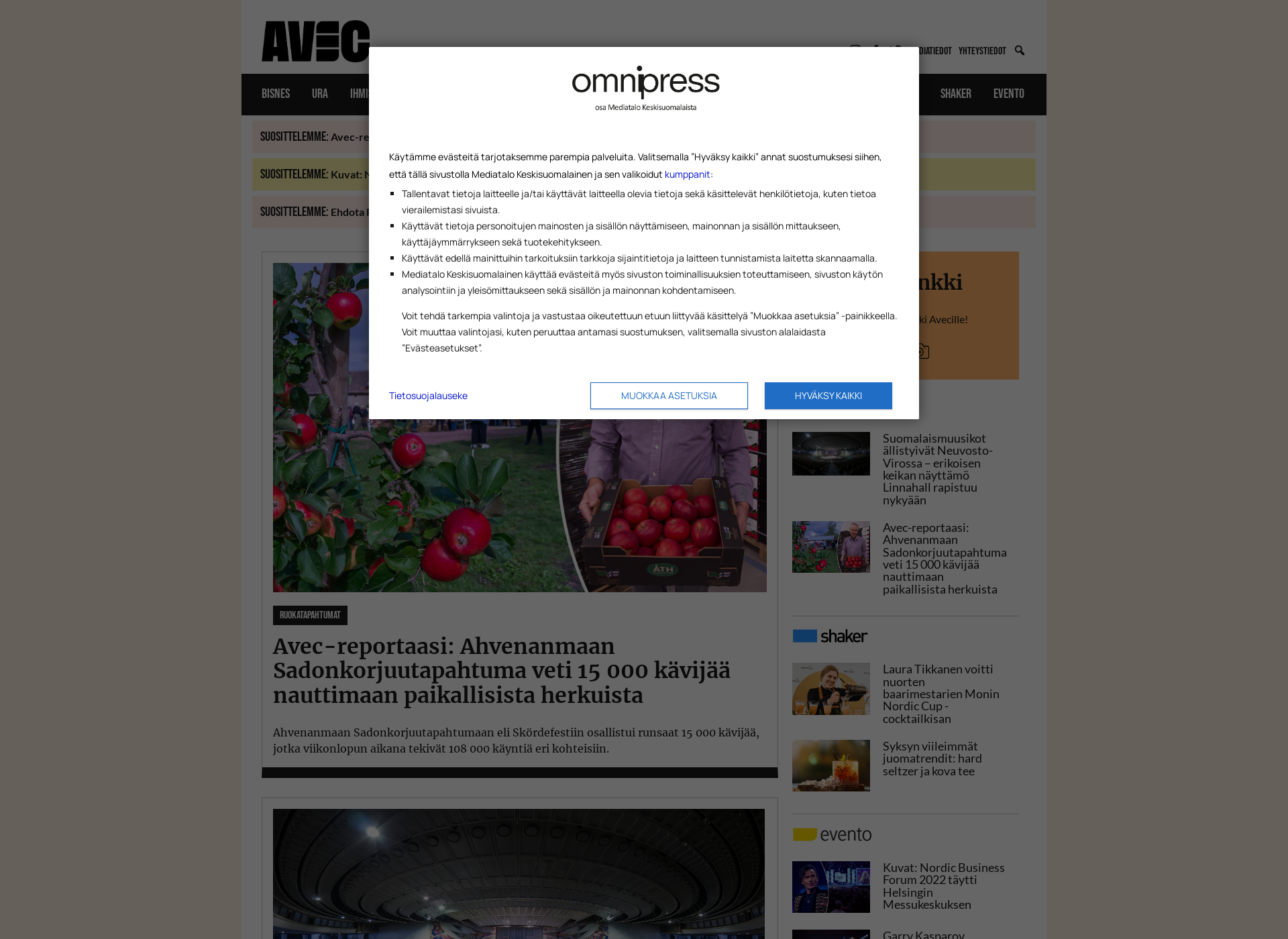 Screenshot for avecmedia.fi