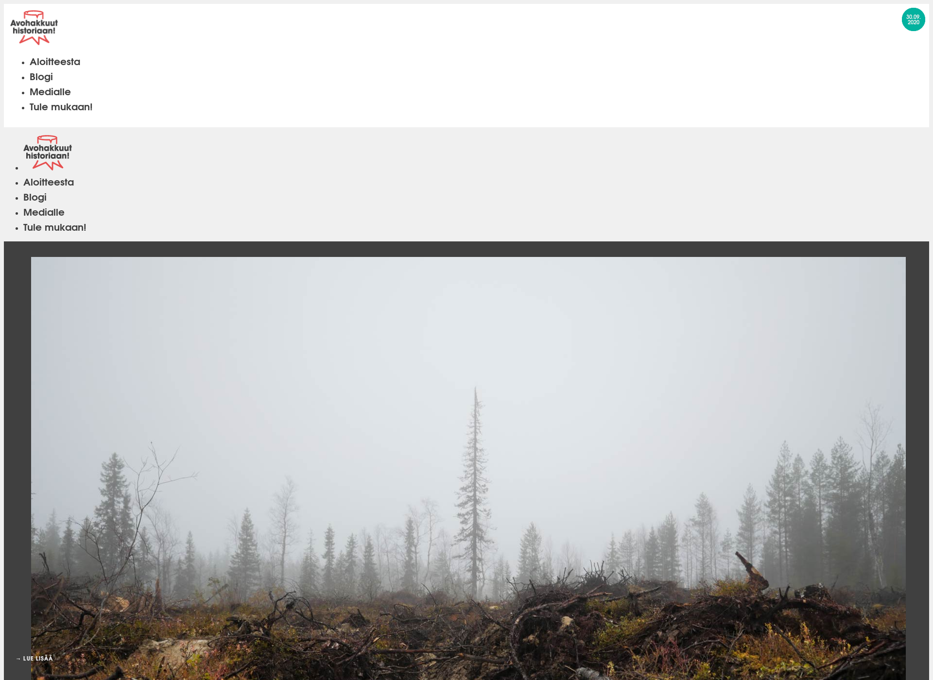 Screenshot for avohakkuuthistoriaan.fi