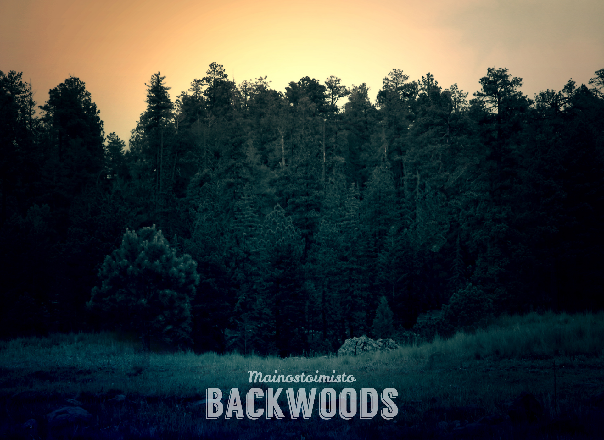 Screenshot for backwoods.fi