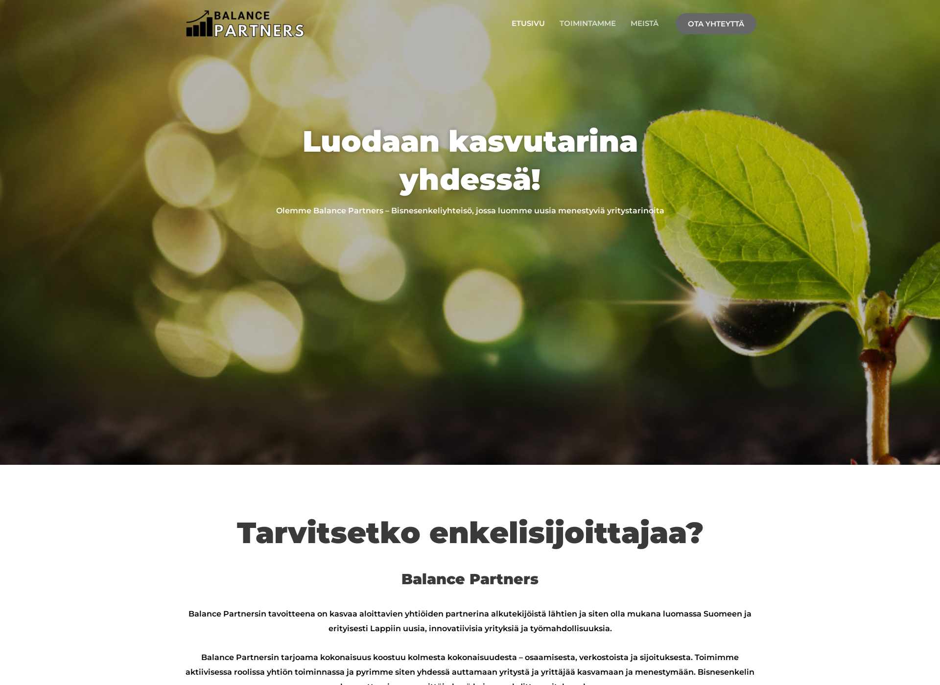 Skärmdump för balancepartners.fi