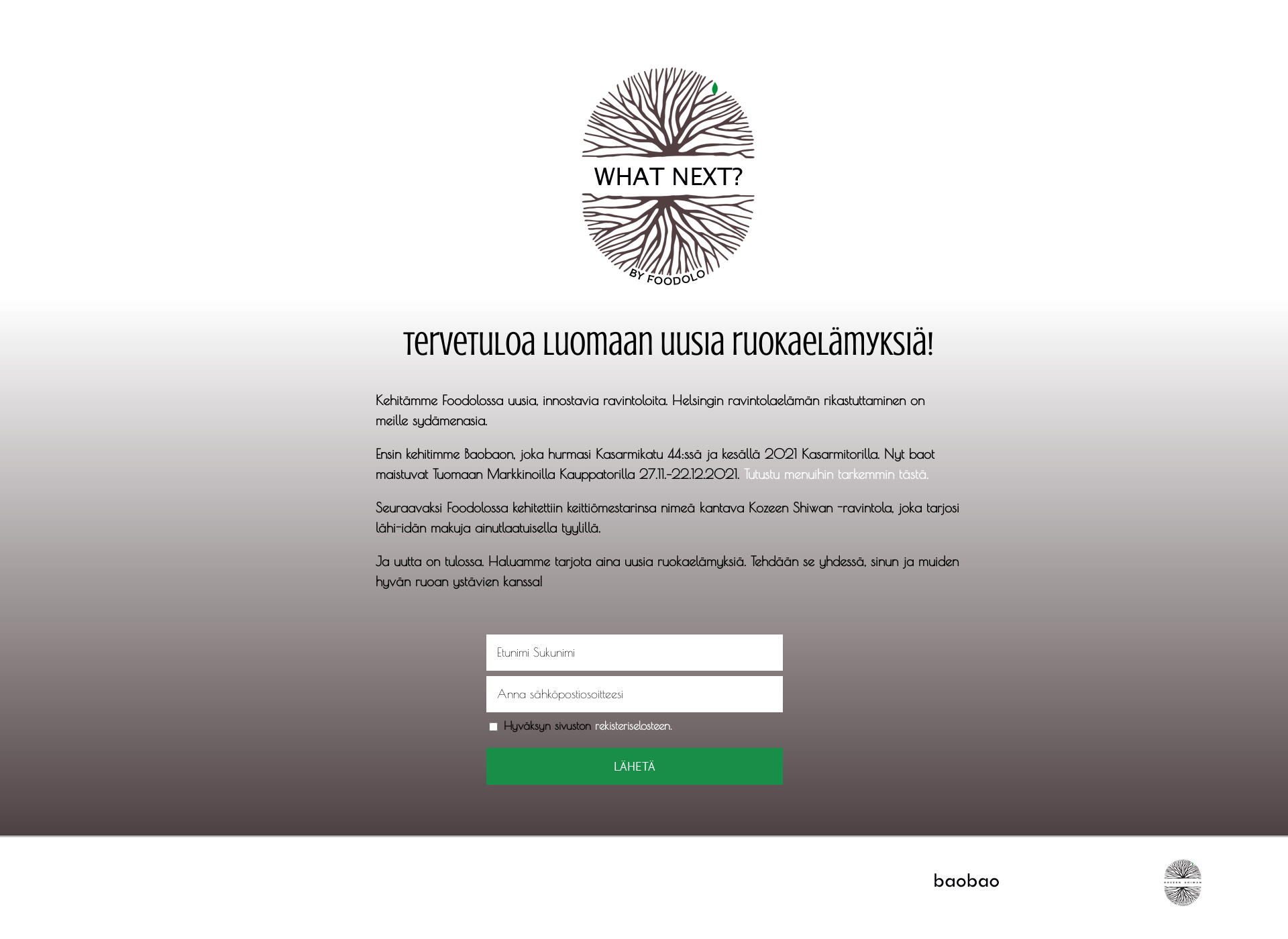 Skärmdump för baobao.fi