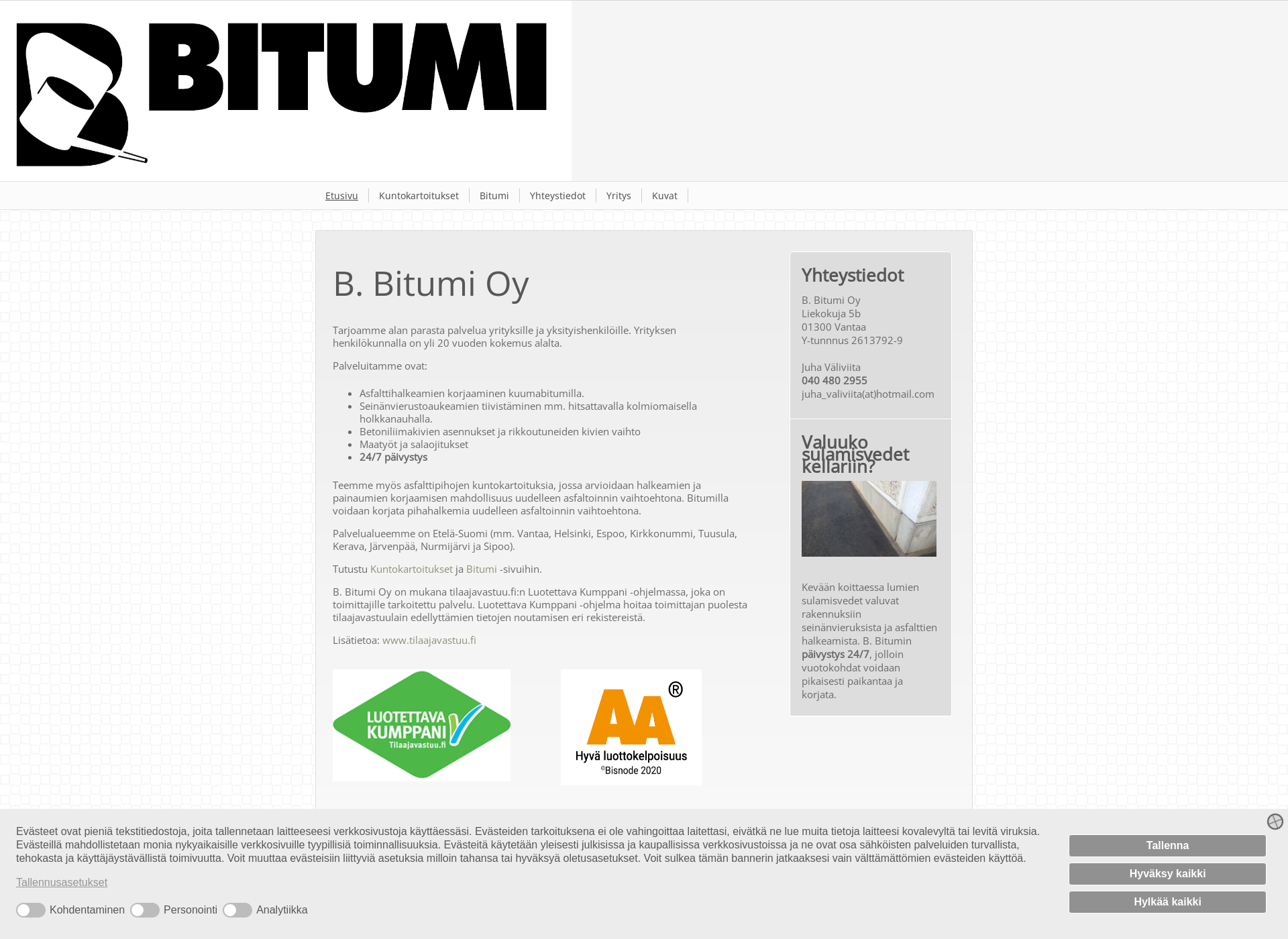 Screenshot for bbitumi.fi
