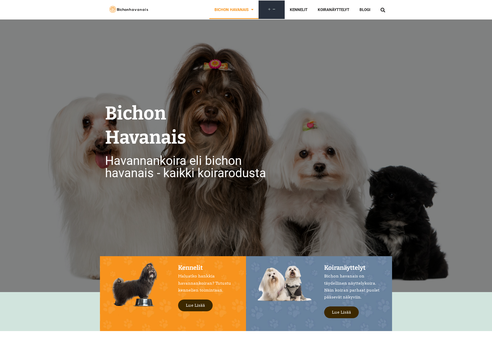 Screenshot for bichonhavanais.fi